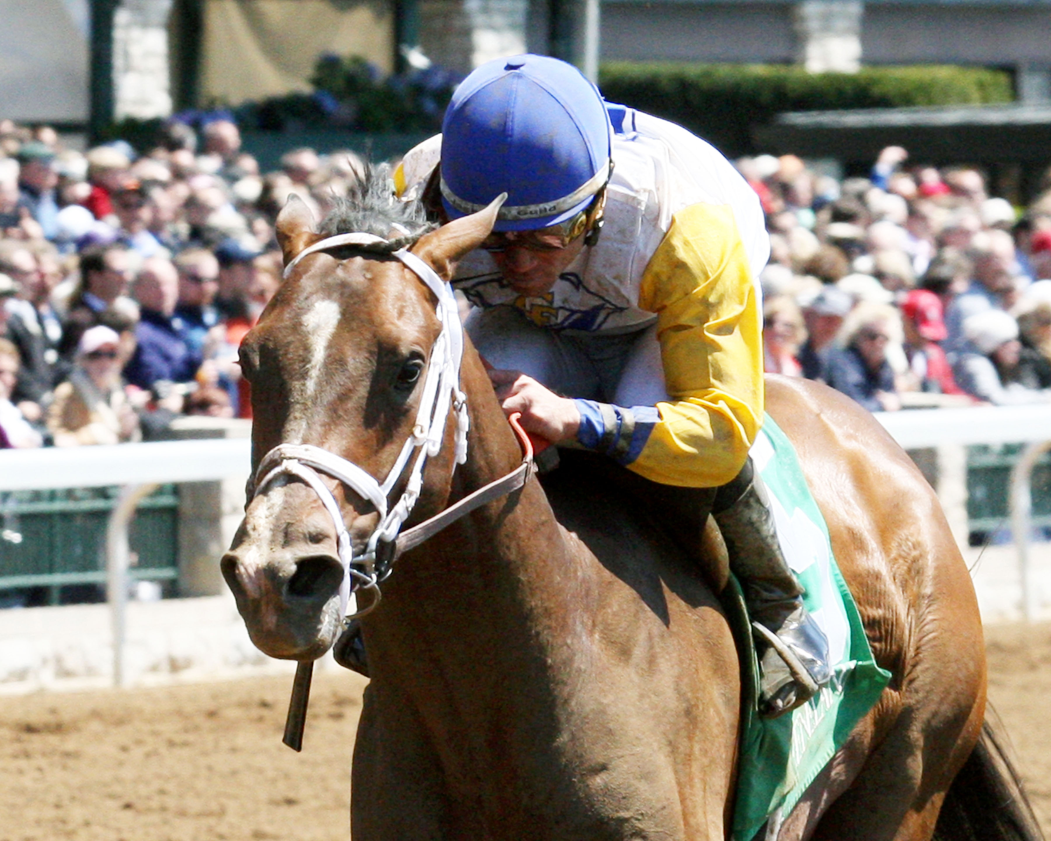 Tale of Verve wins a maiden race