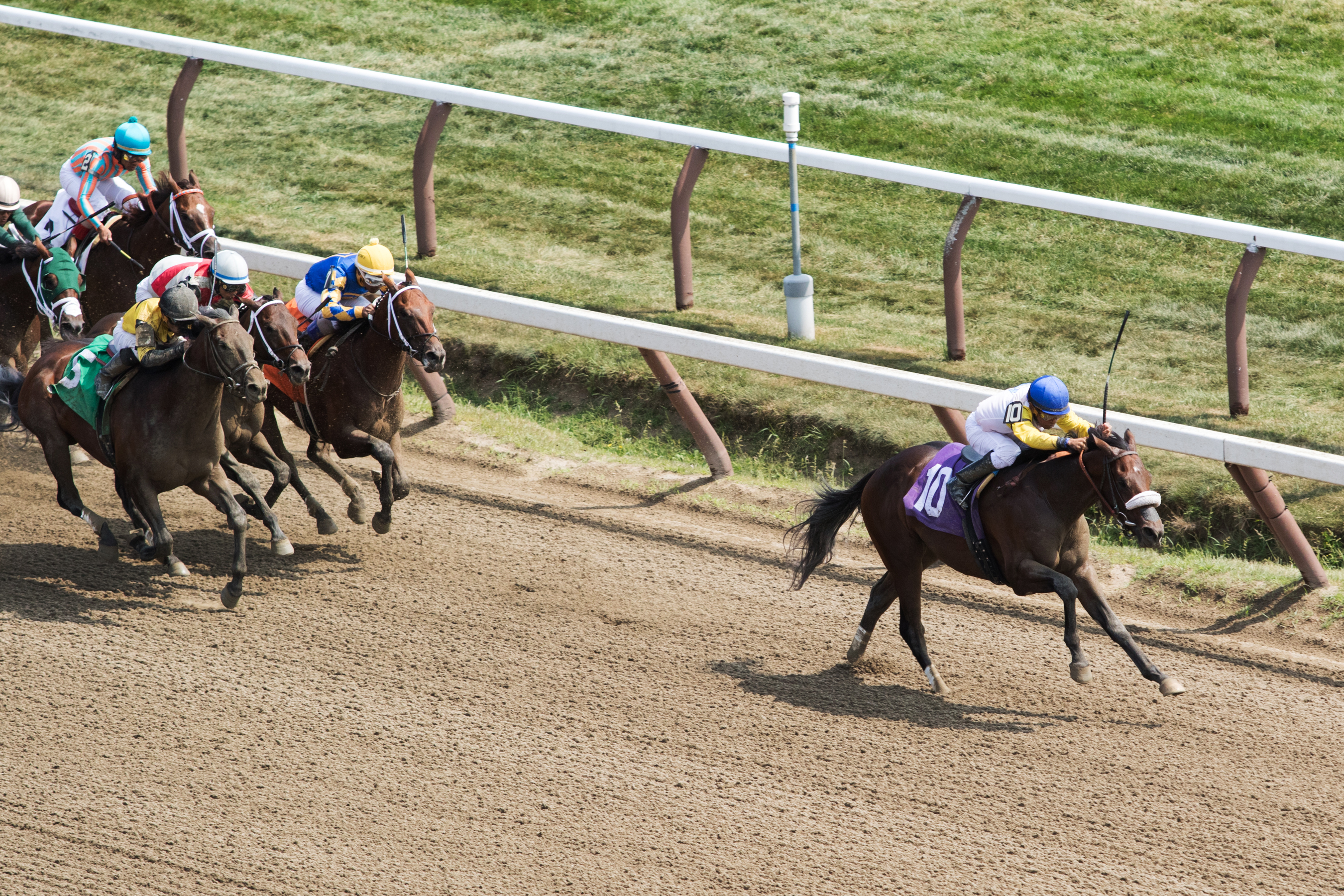 Tale of S'avall wins a maiden race
