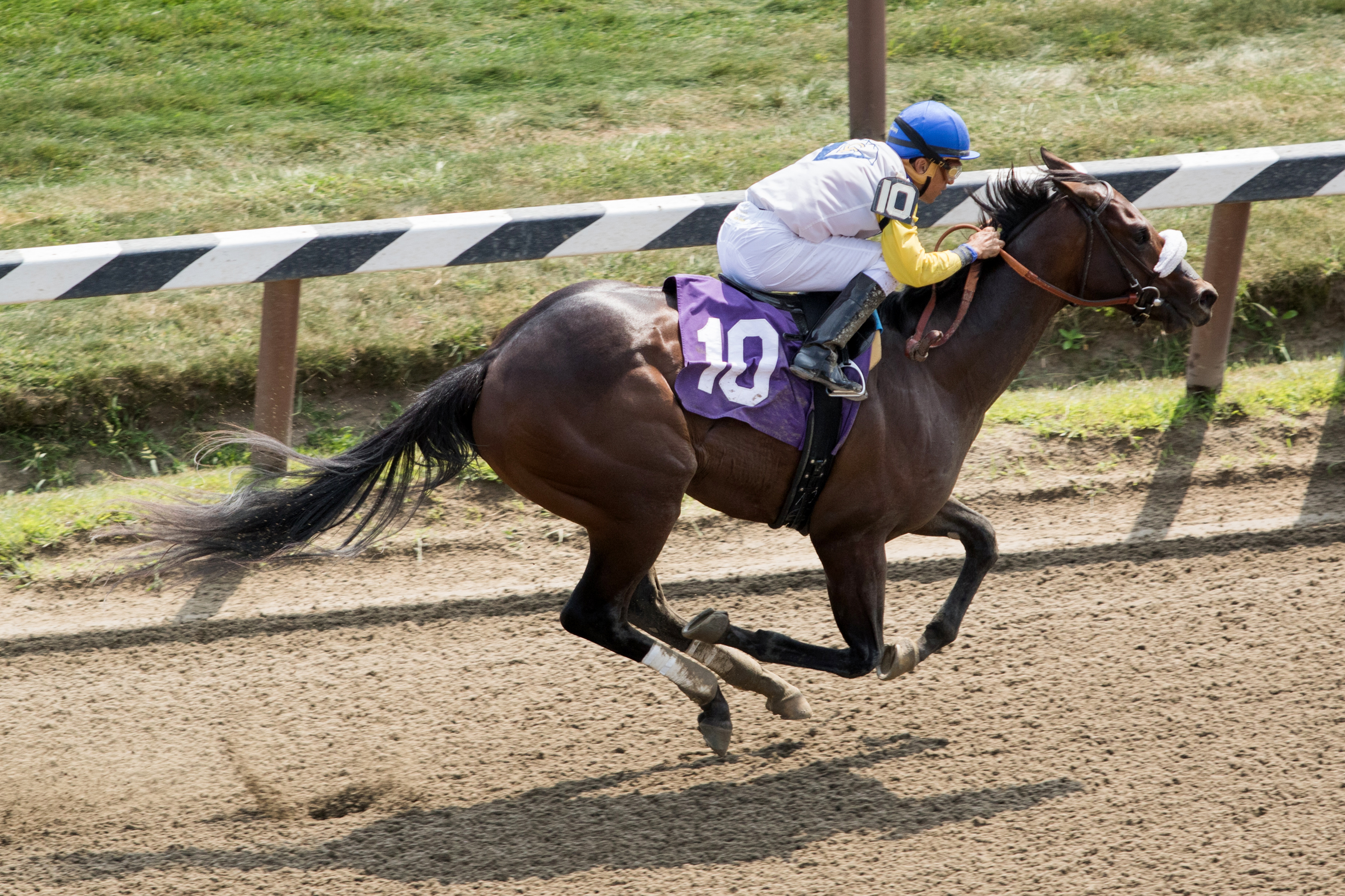 Tale of S'avall wins a maiden race