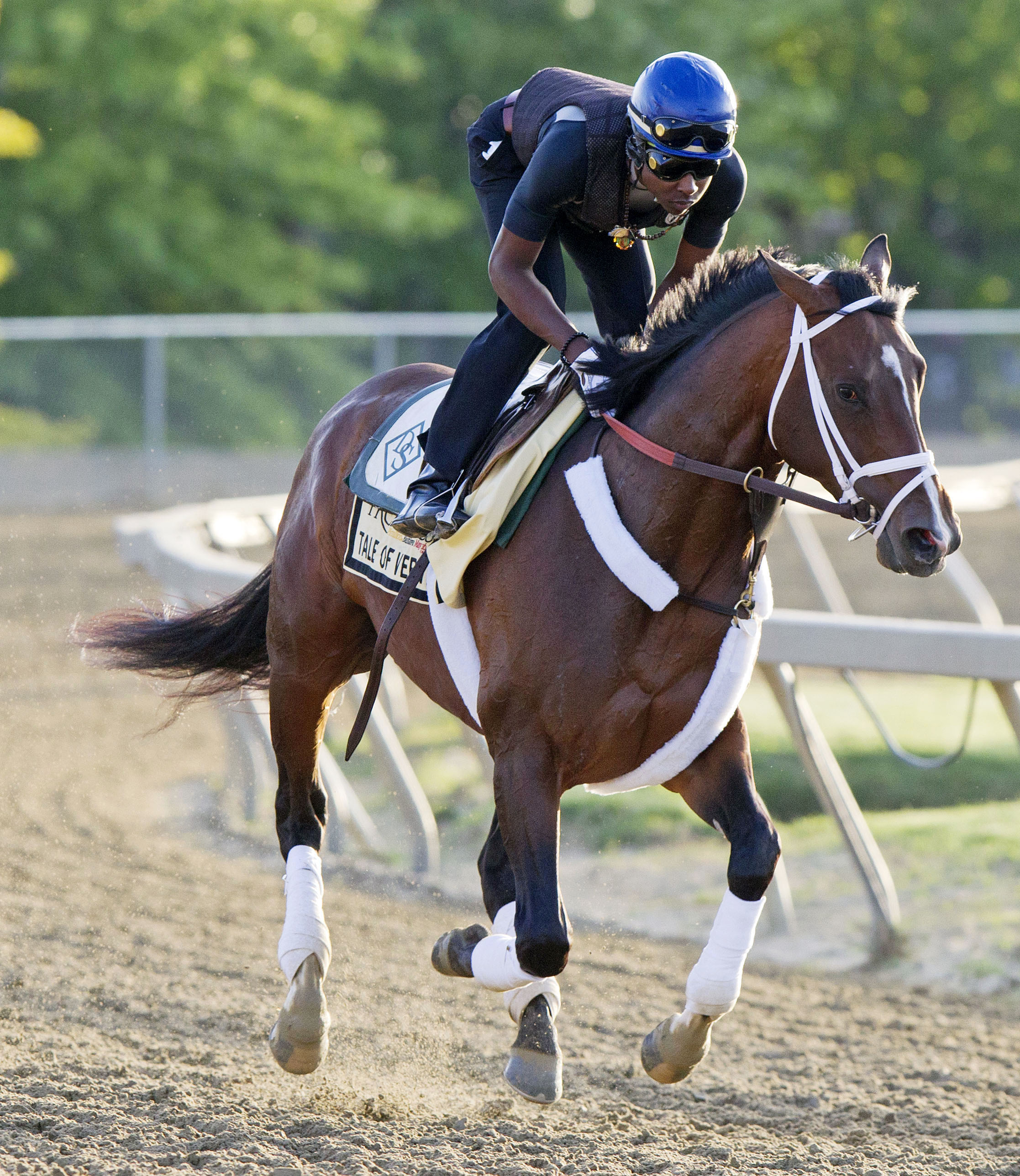 Tale of Verve at Pimlico May 14