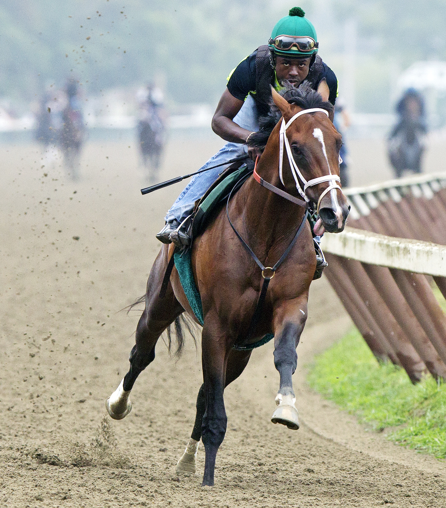 Tale of Verve trains at Saratoga