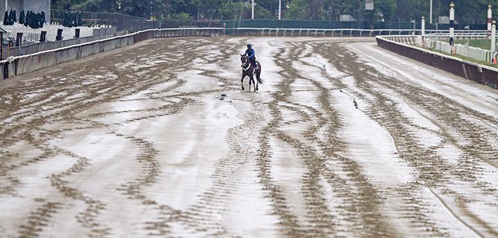 Rainy Belmont Park
