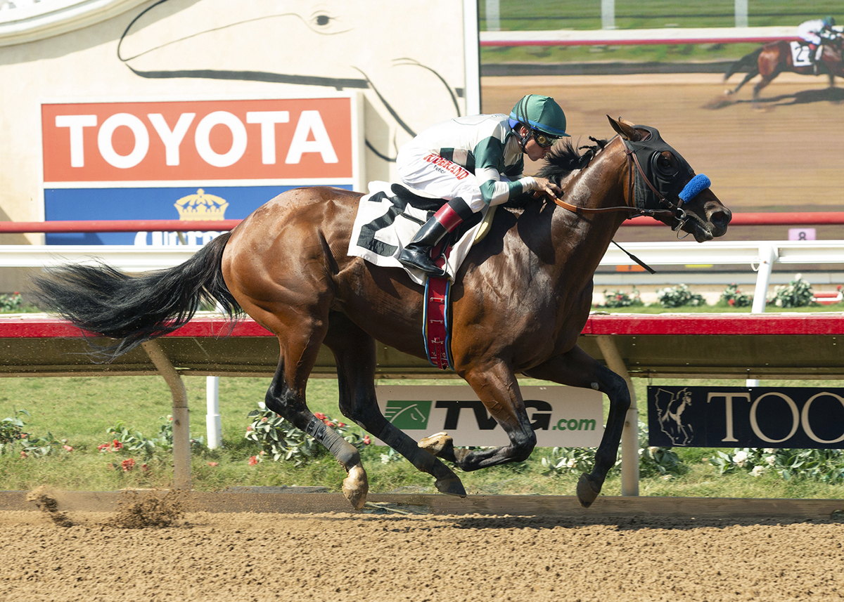 Tale of the Union wins an Aug. 26 maiden race
