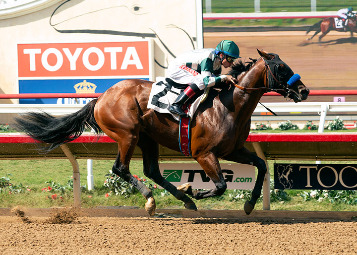 Tale of the Union wins an August 2018 maiden race at Del Mar