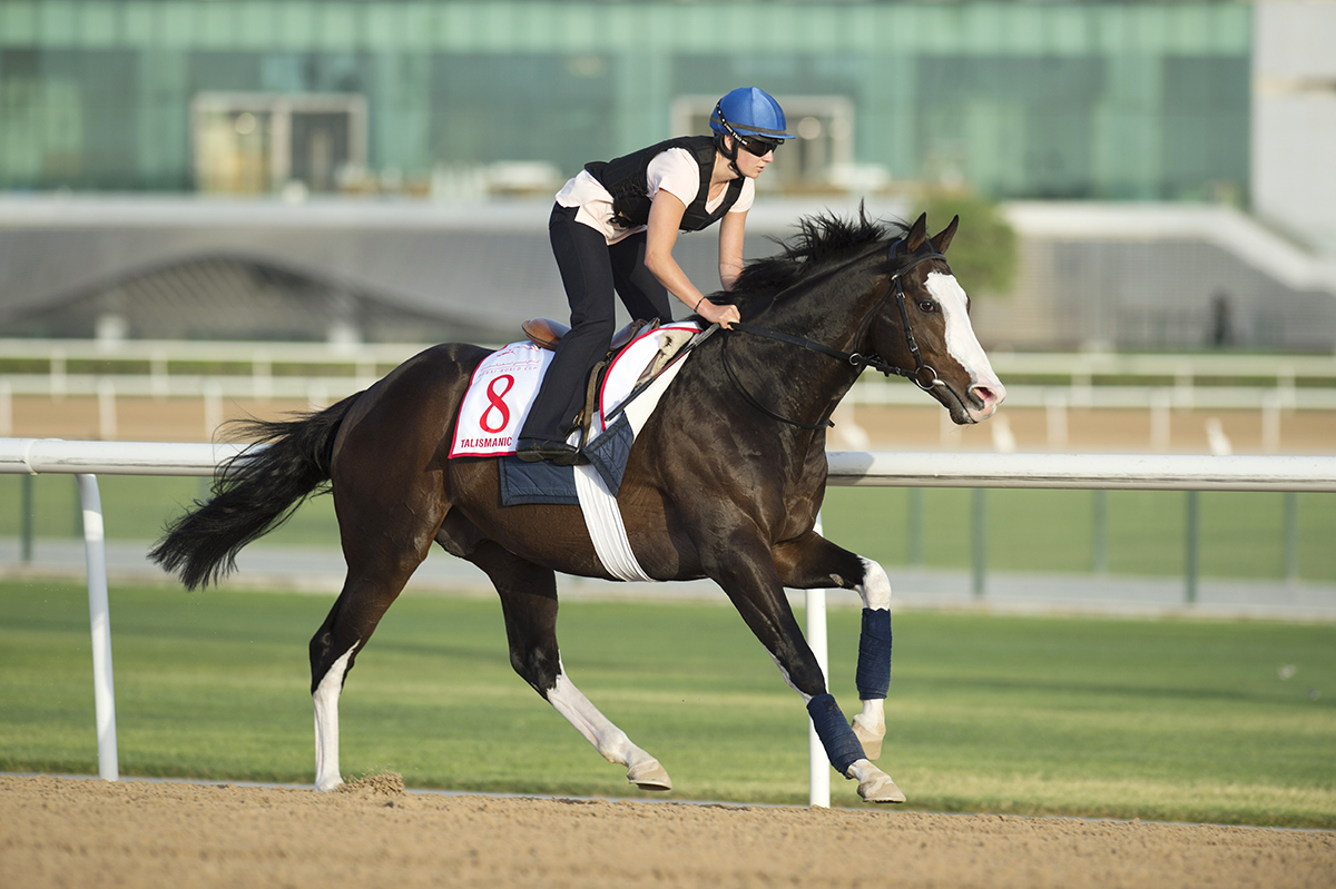 Talismanic trains at Meydan Racecourse in March 2018