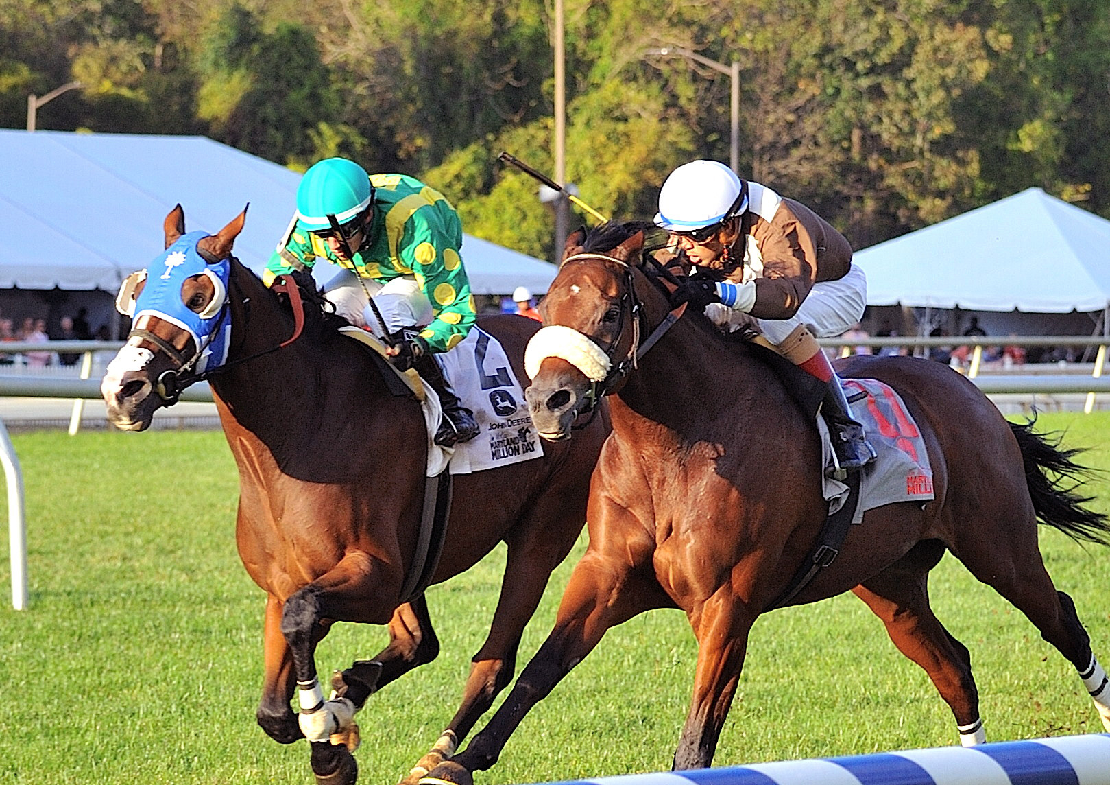 Talk Show Man (No. 2) wins the 2018 Maryland Million Turf