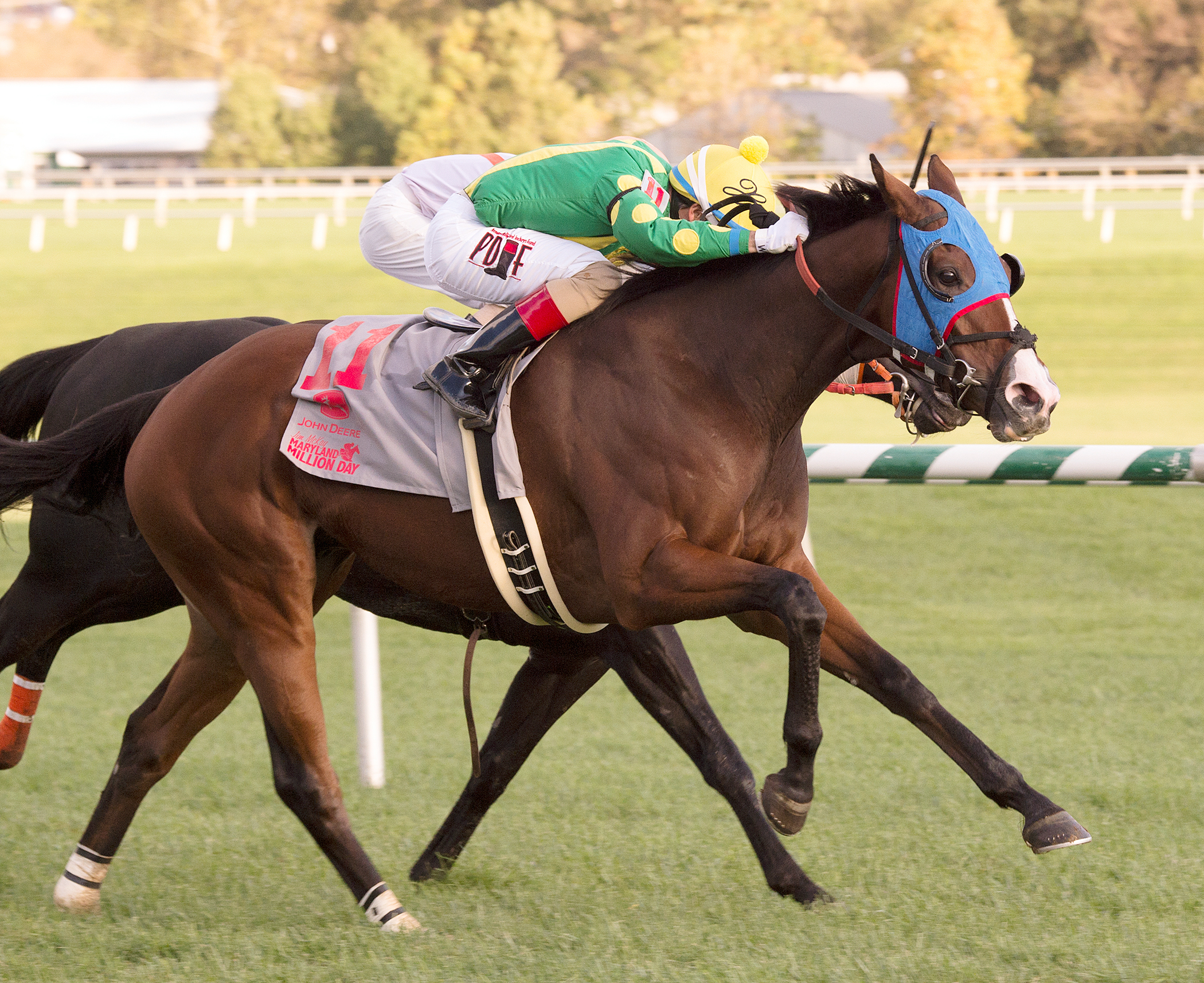 Talk Show Man wins the 2014 Maryland Million Turf