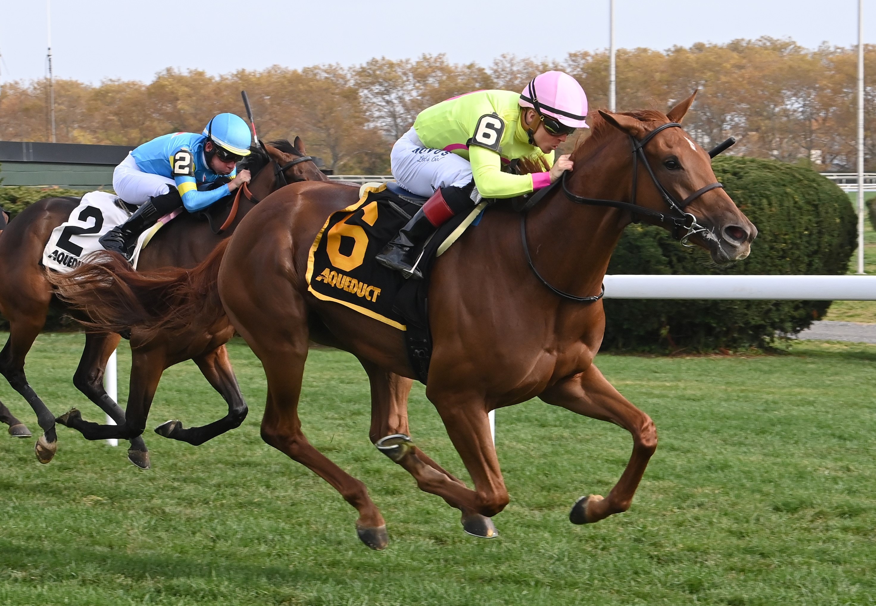 Tall Girl wins maiden at Aqueduct Nov 6 2022