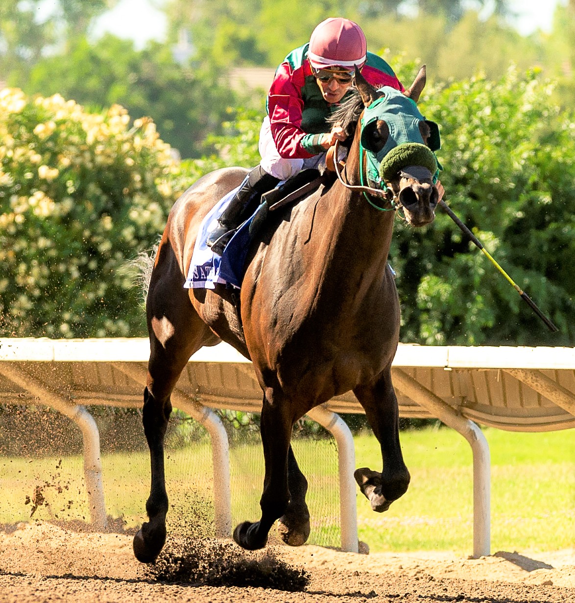 Tam's Little Angel wins the She's a Tiger at Pleasanton June 25 2022
