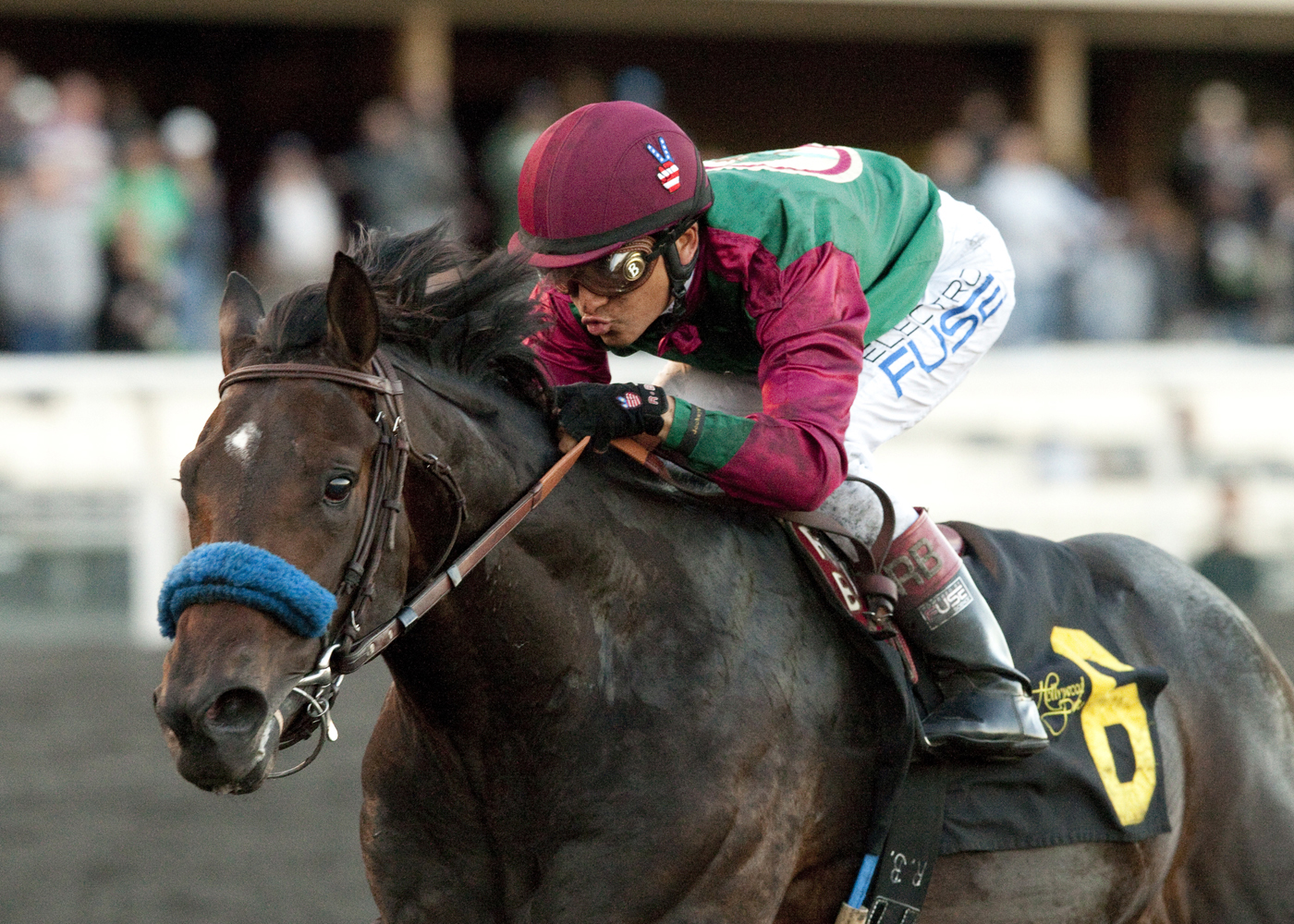 Tamarando wins the Real Quiet Stakes