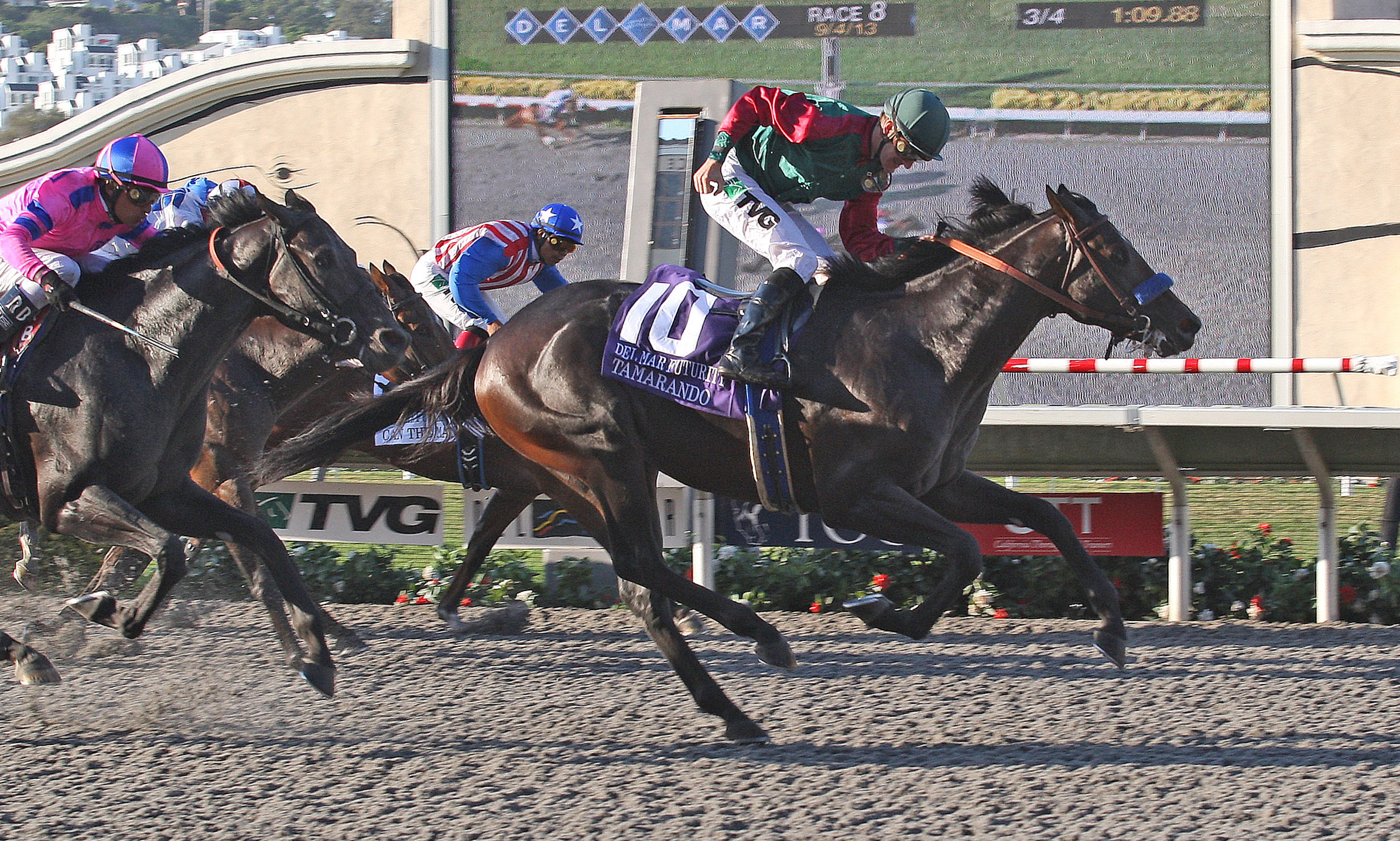 Tamarando, Del Mar Futurity