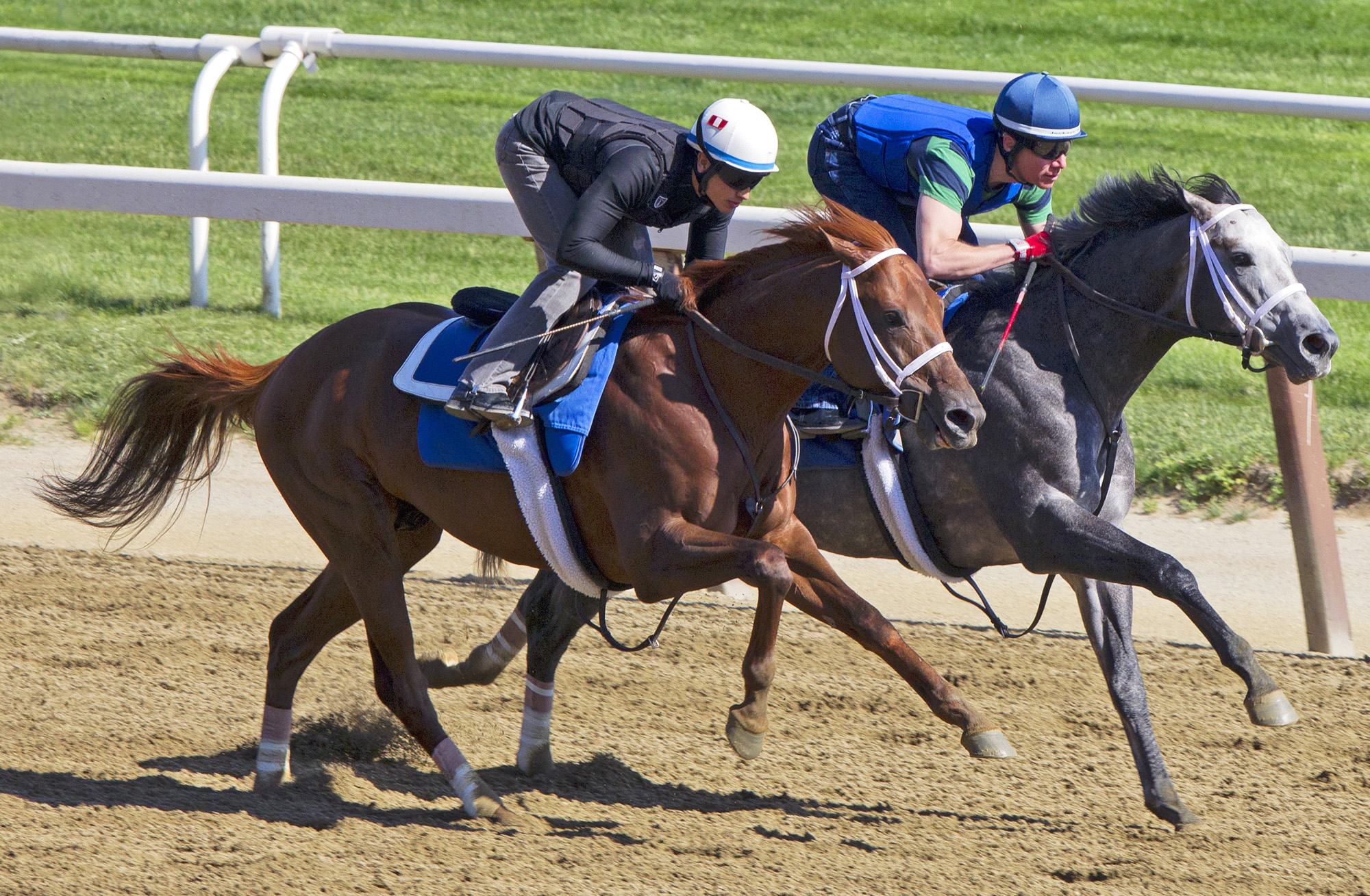 Tamarkuz trains with Frosted in May
