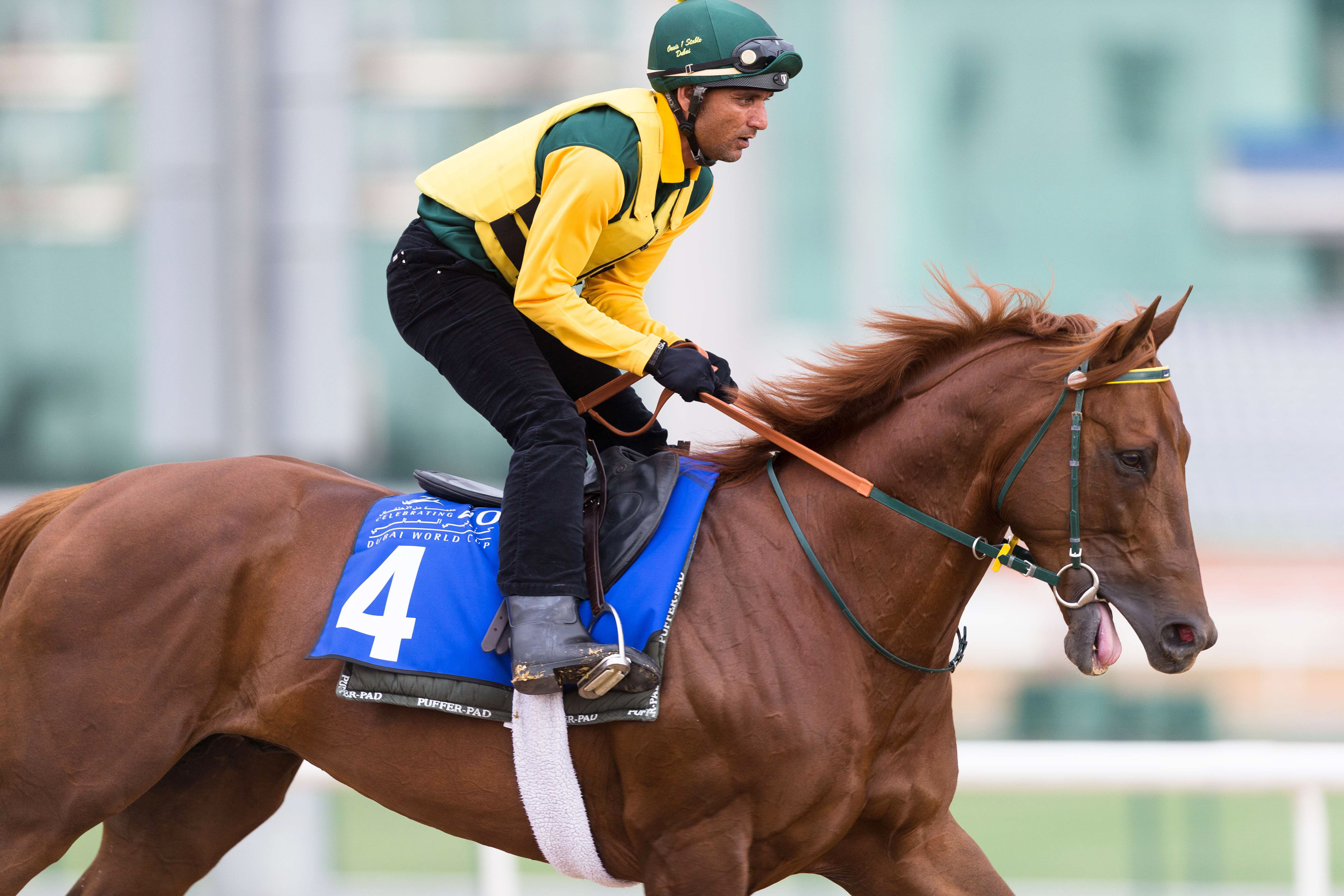 Tamarkuz trains in Dubai