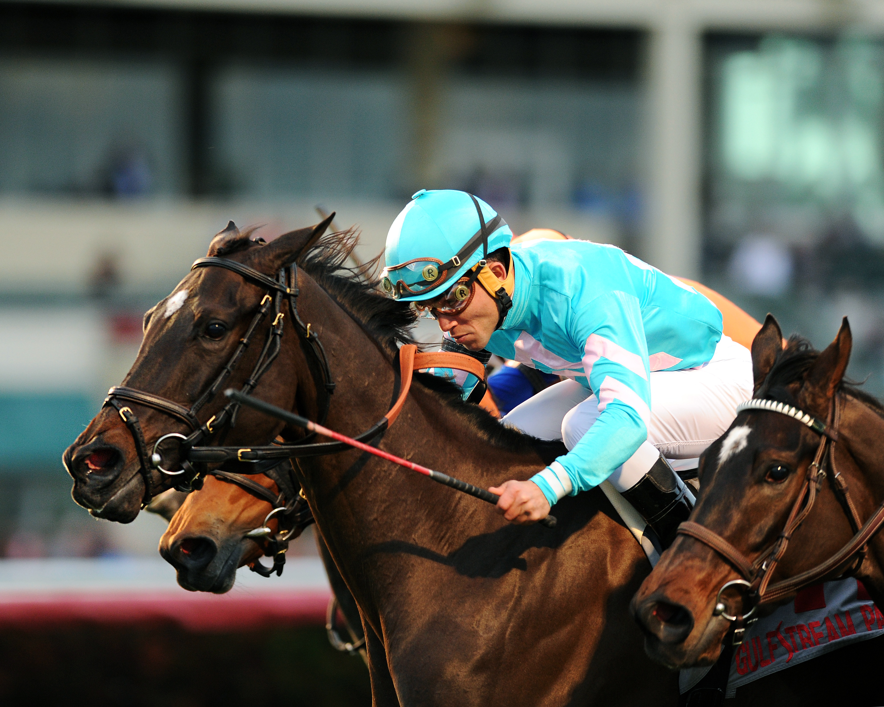 Tammy the Torpedo wins the Tropical Park Oaks