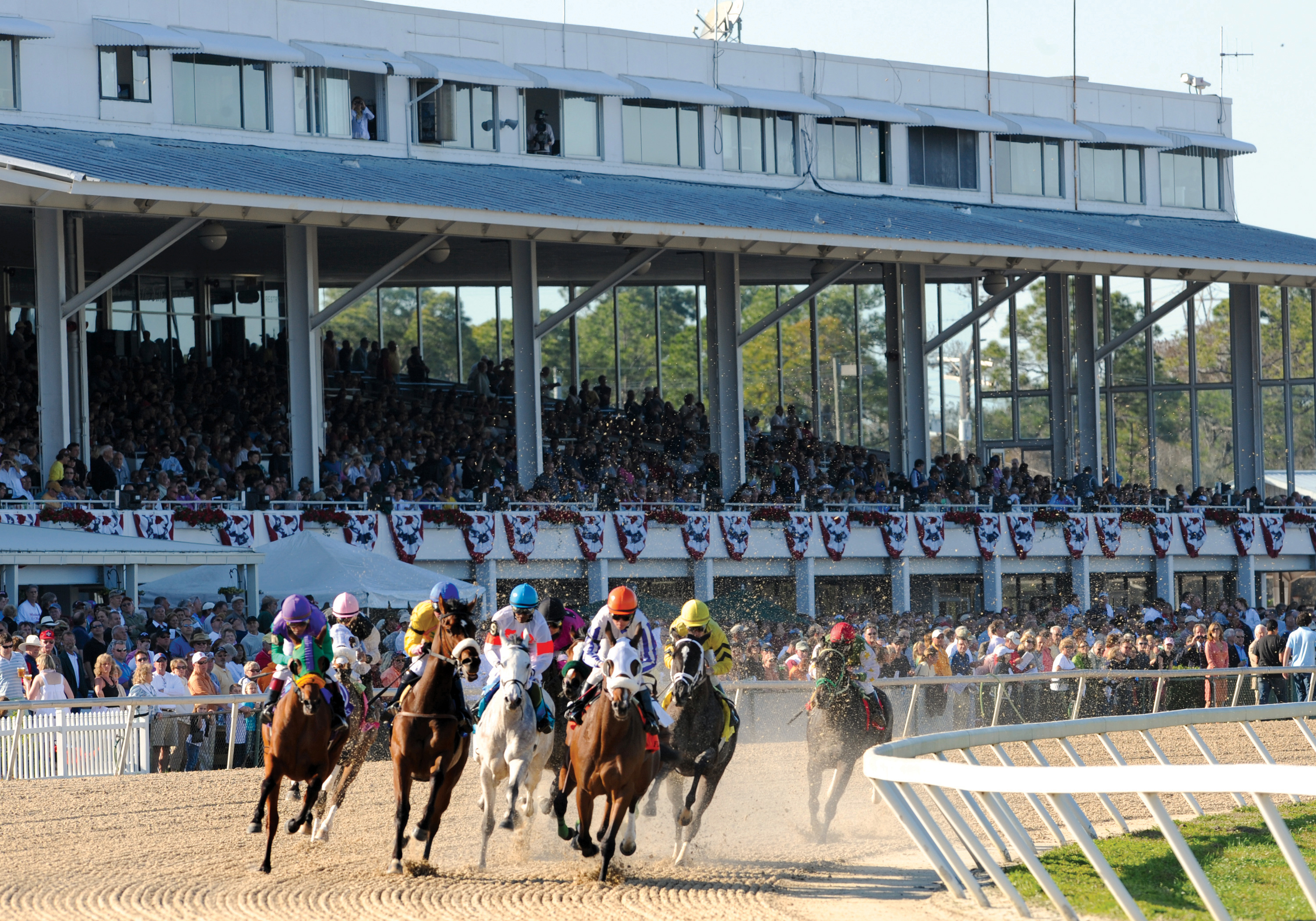 Tampa Bay Downs, January 2011