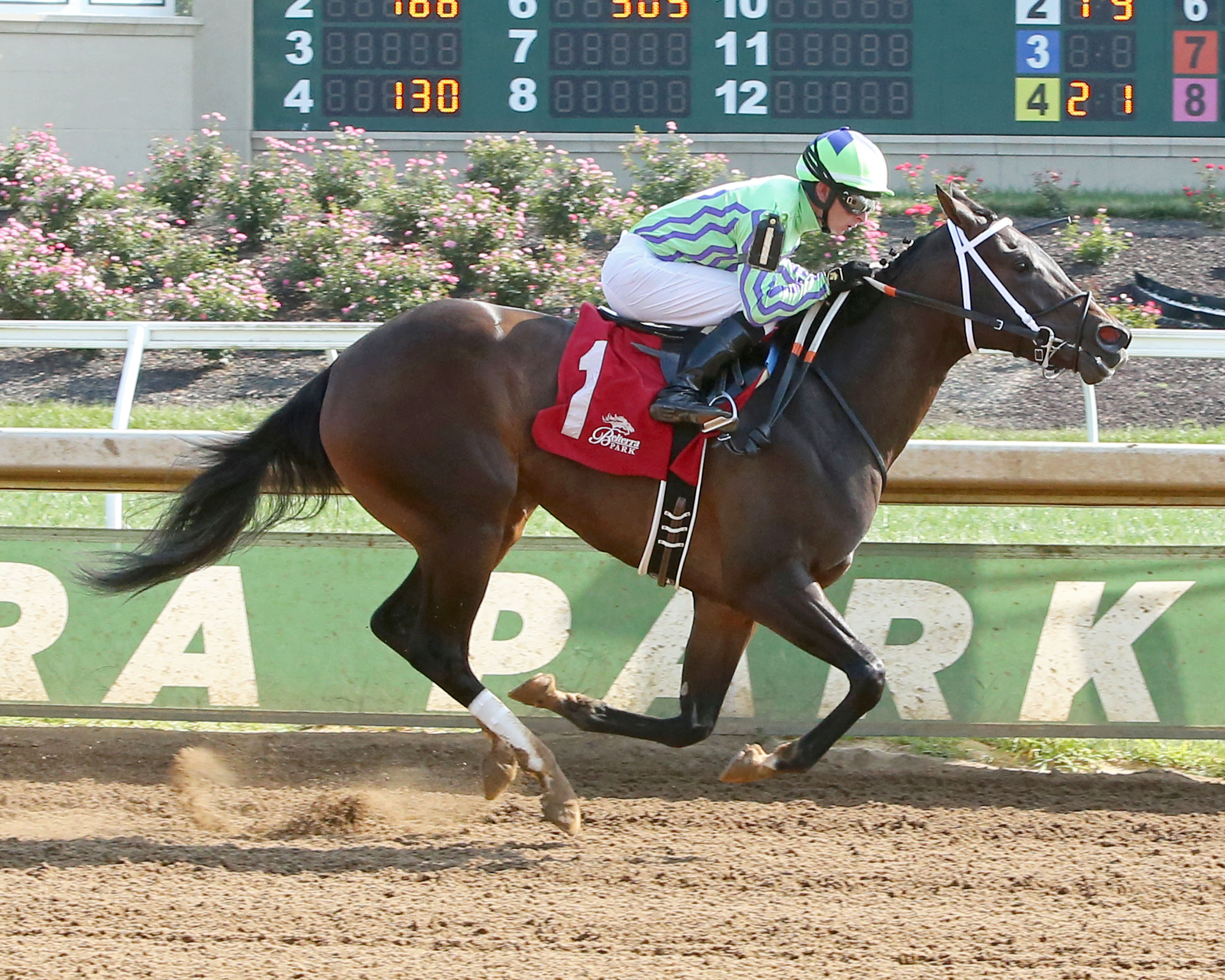Tango Run wins the 2017 Tah Dah Stakes