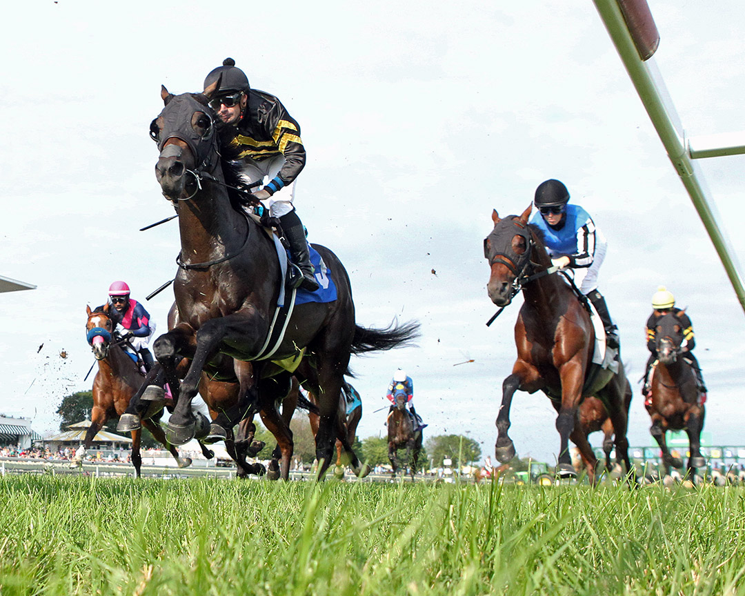 Tango Tango Tango wins the 2021 American Derby at Arlington Park