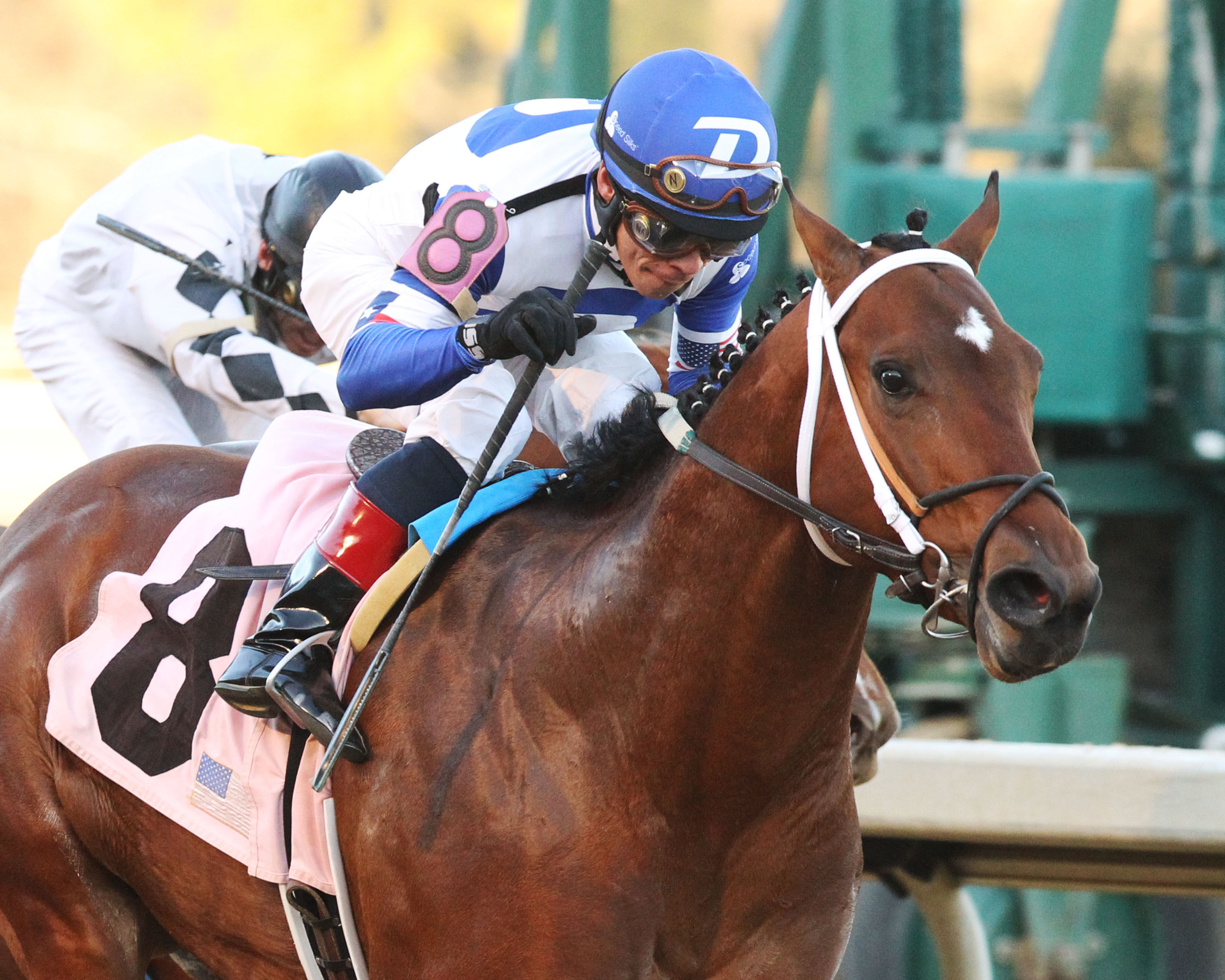 Tanzanite Cat wins the Smarty Jones