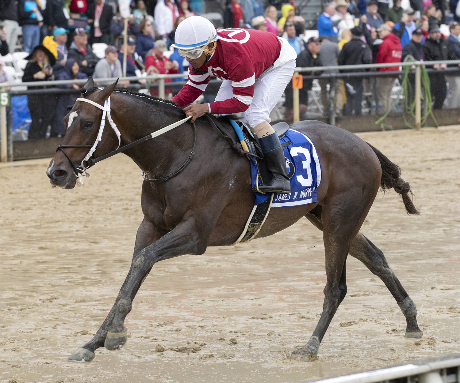 Tap Daddy wins the 2018 James W. Murphy