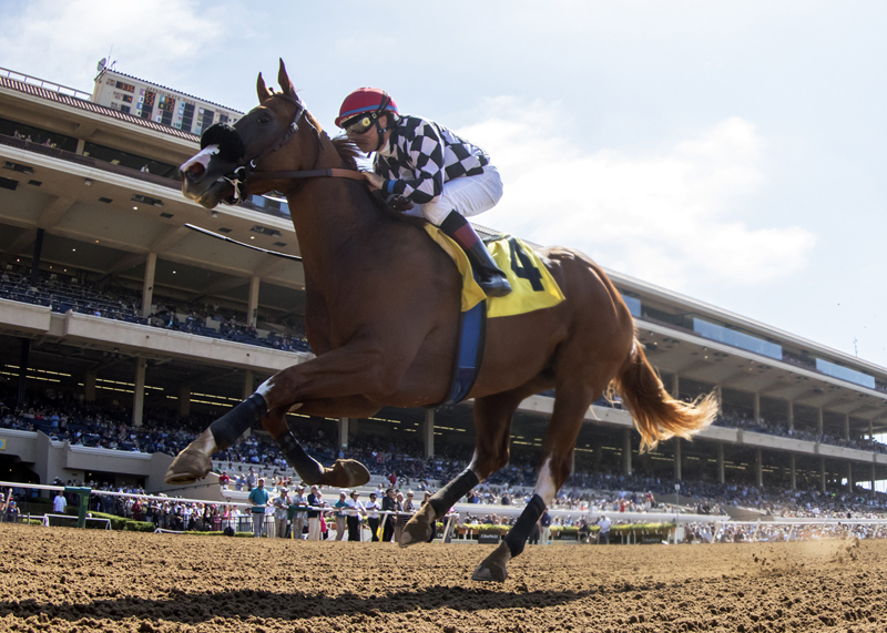 Tap the Wire wins 2018 Graduation Stakes