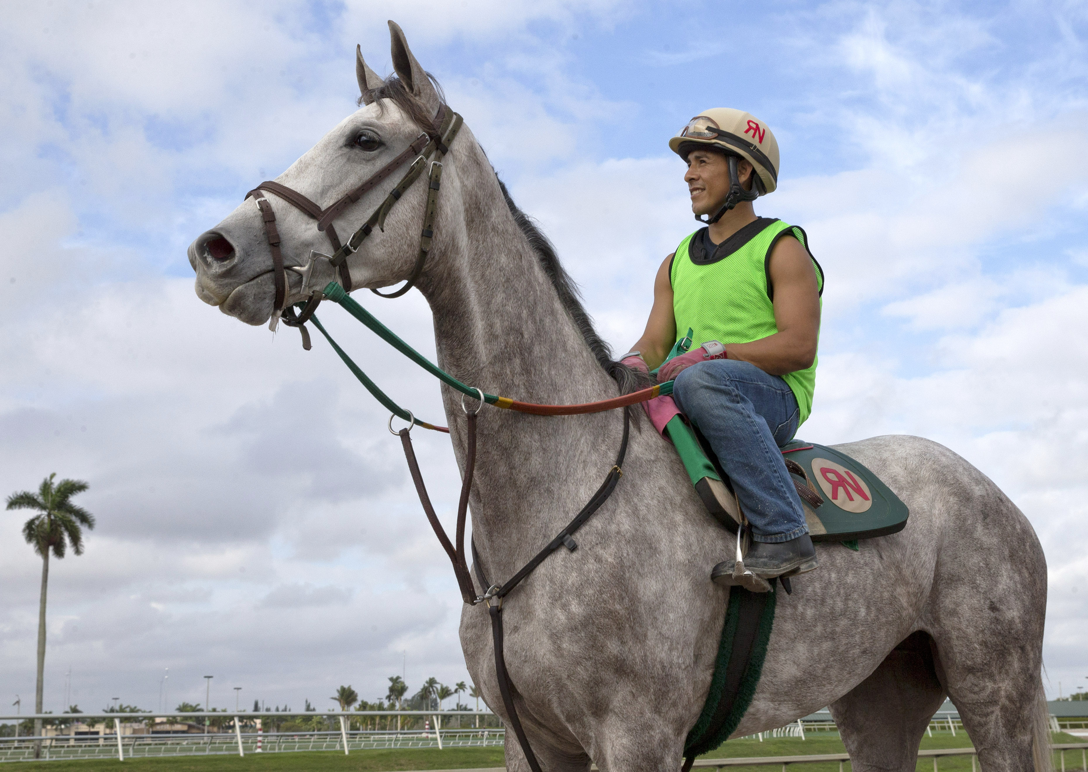 Tap To It at Gulfstream in February 2016