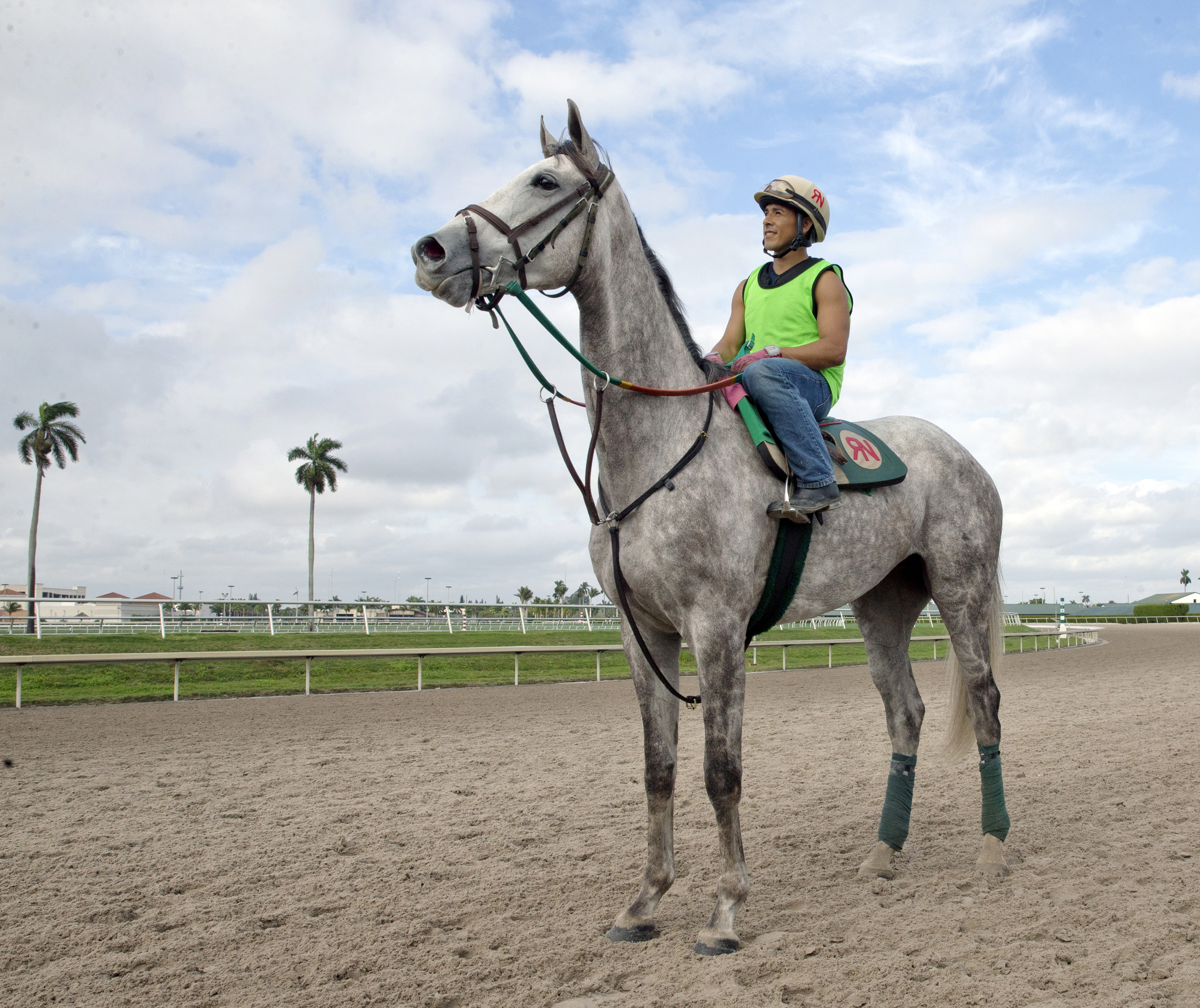 Tap to It at Gulfstream in January 2016