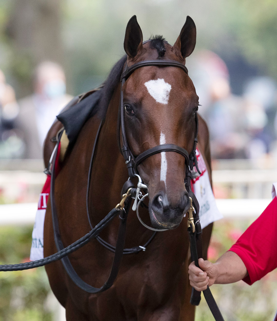 Tap It To Win at Belmont Park in June 2020