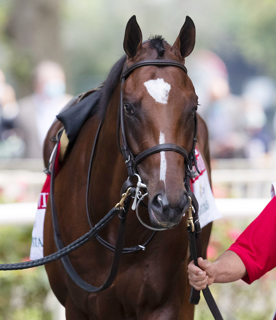 Tap It to Win at Belmont Park in June 2020