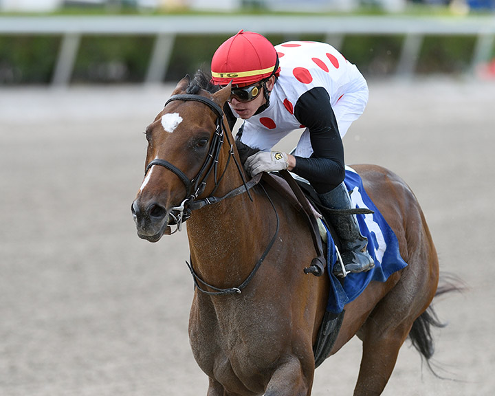 Tap It to Win wins a May 9 allowance at Gulfstream