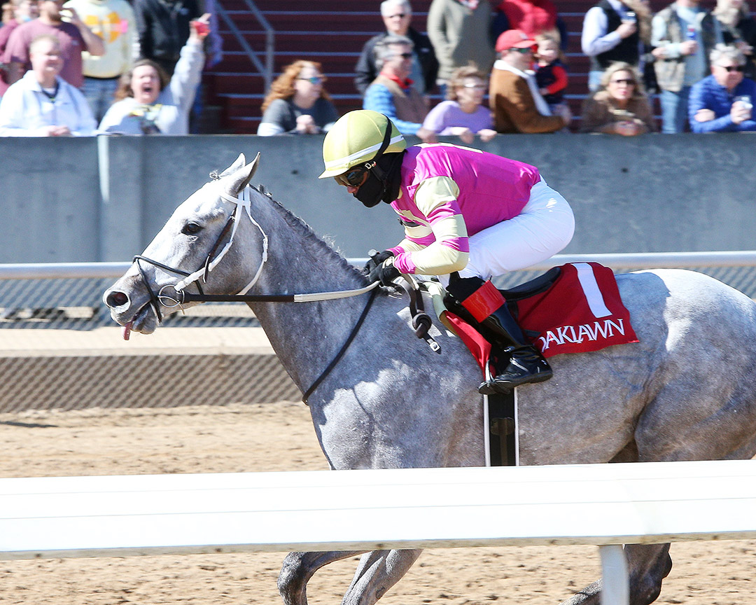 Tap for Me wins a Feb. 13 maiden race at Oaklawn
