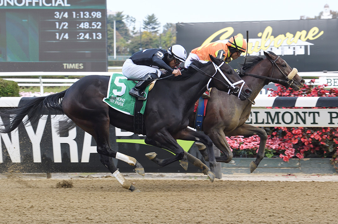 Tap the Faith (inside) wins a Nov. 7 maiden race at Belmont Park
