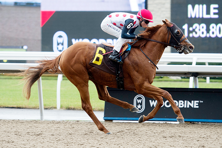 Tap the Mojo wins a Nov. 2 claiming race at Woodbine