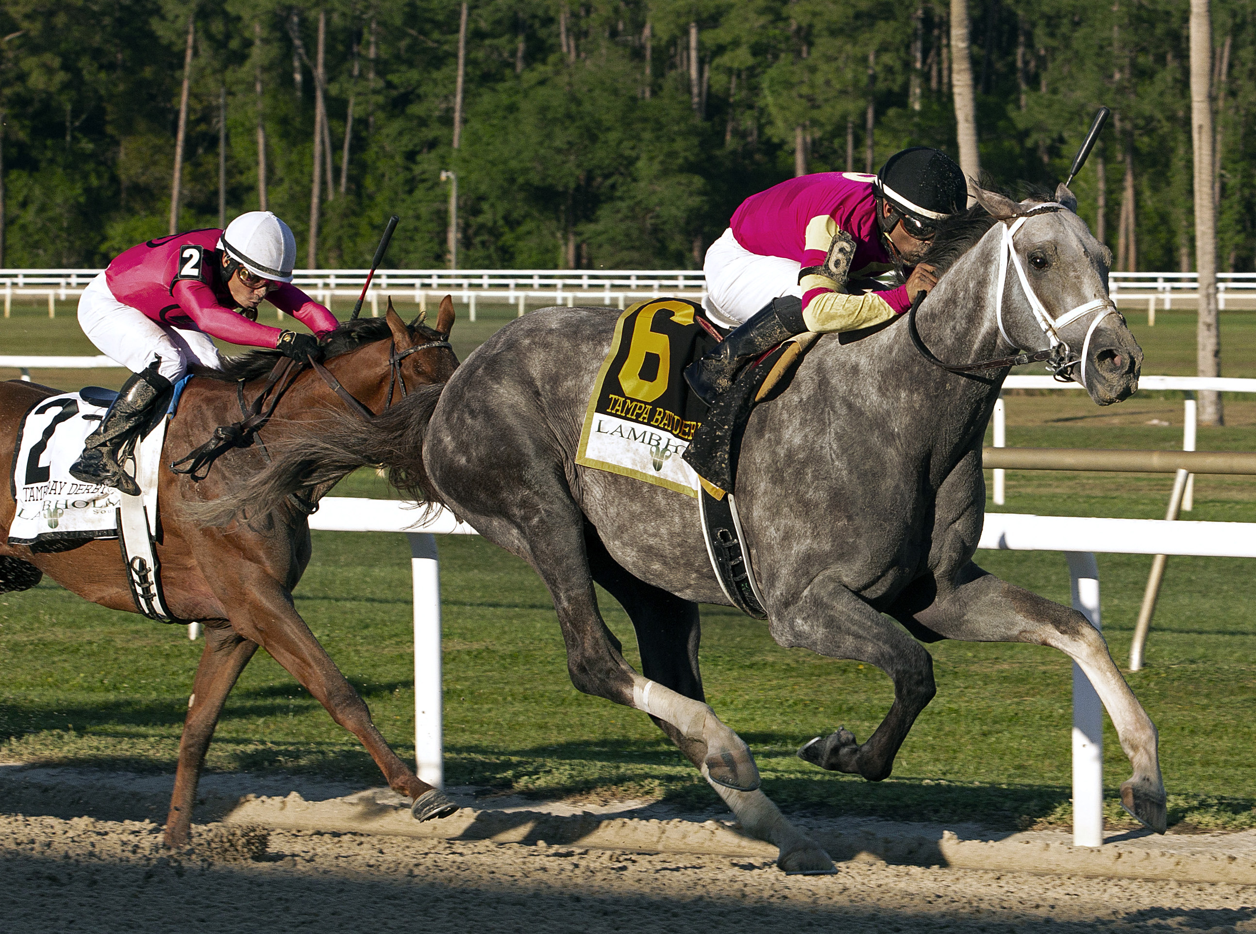 Tapit Trice/Tampa Bay Derby
