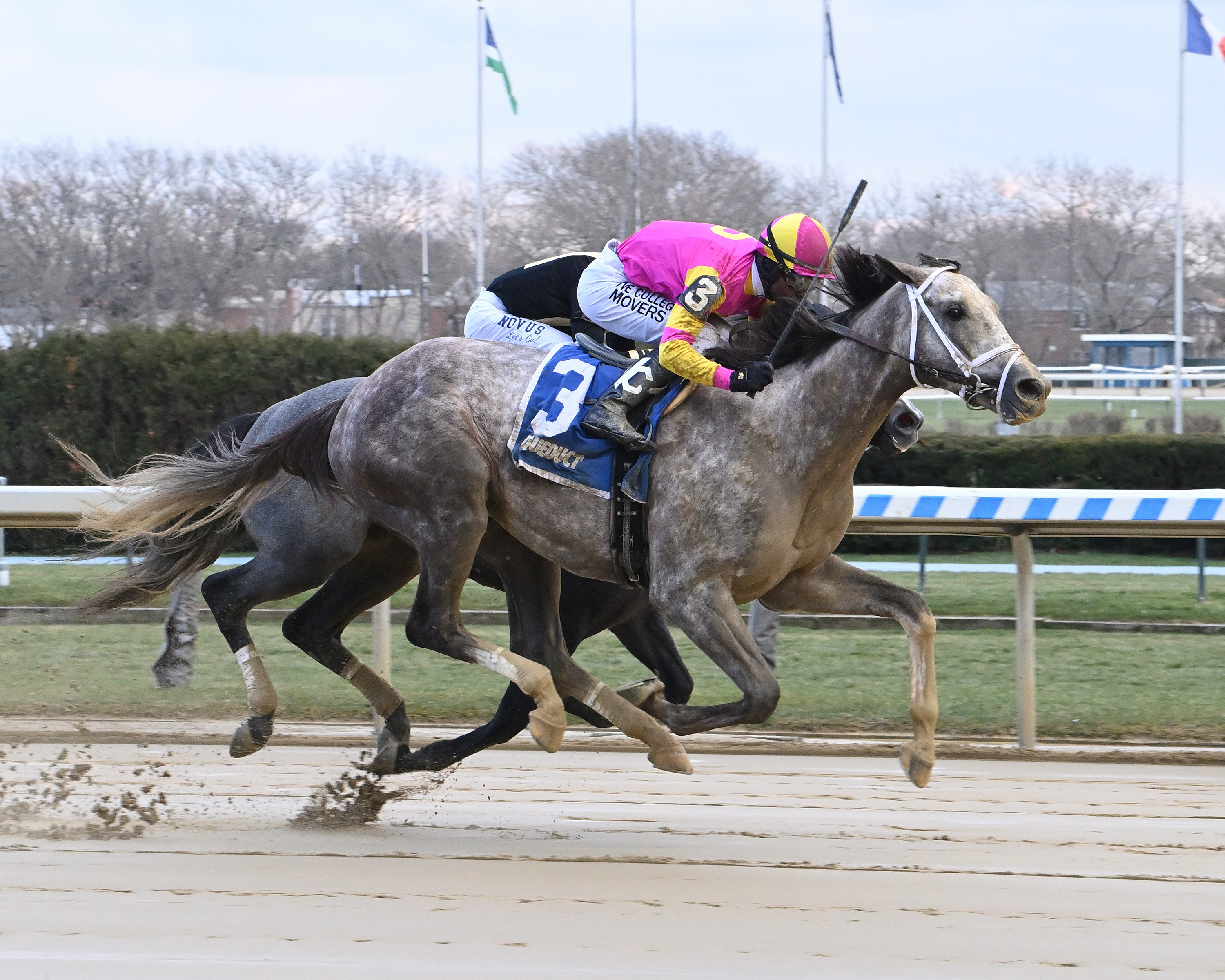 Tapit Trice