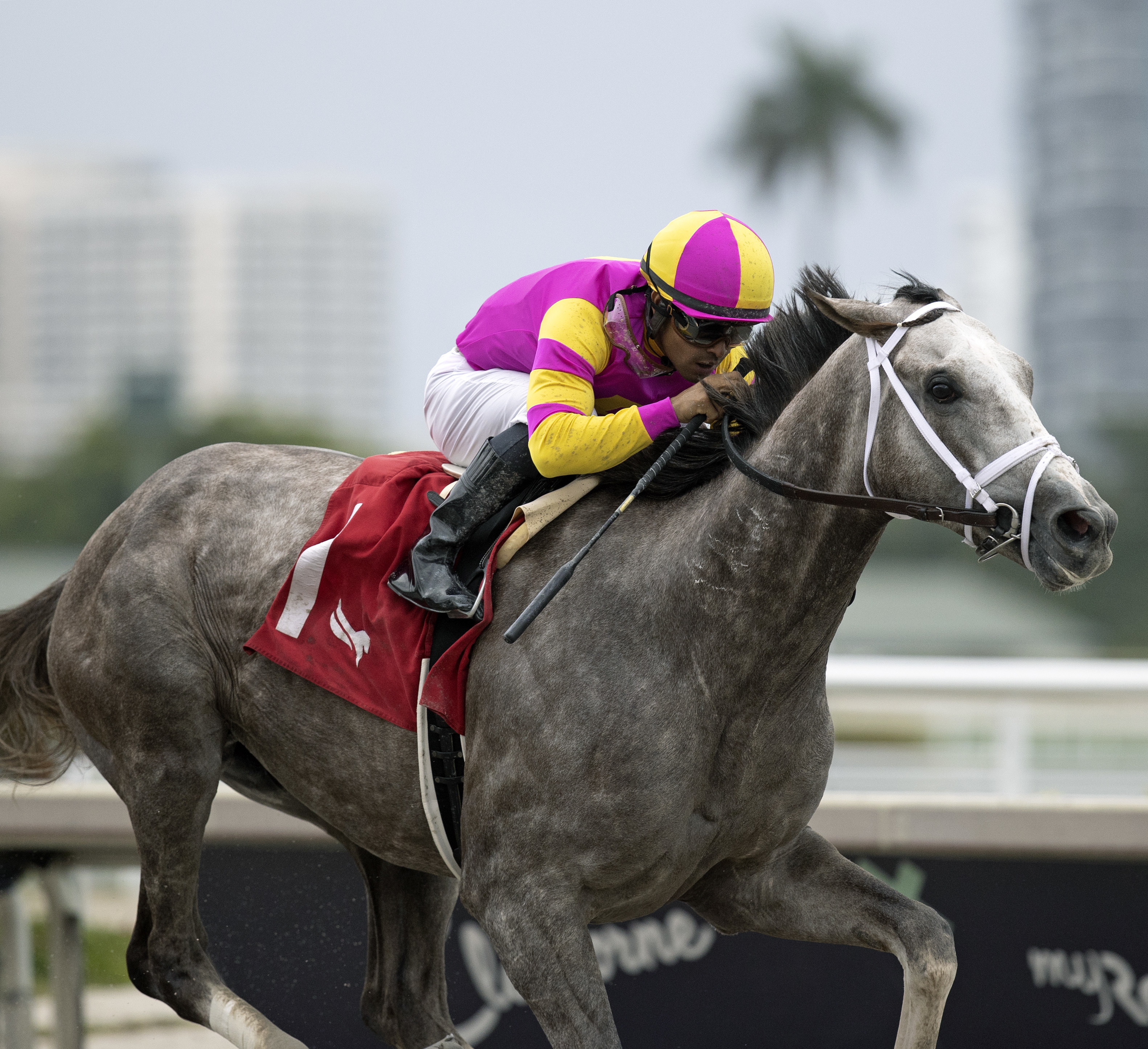 Tapit Trice