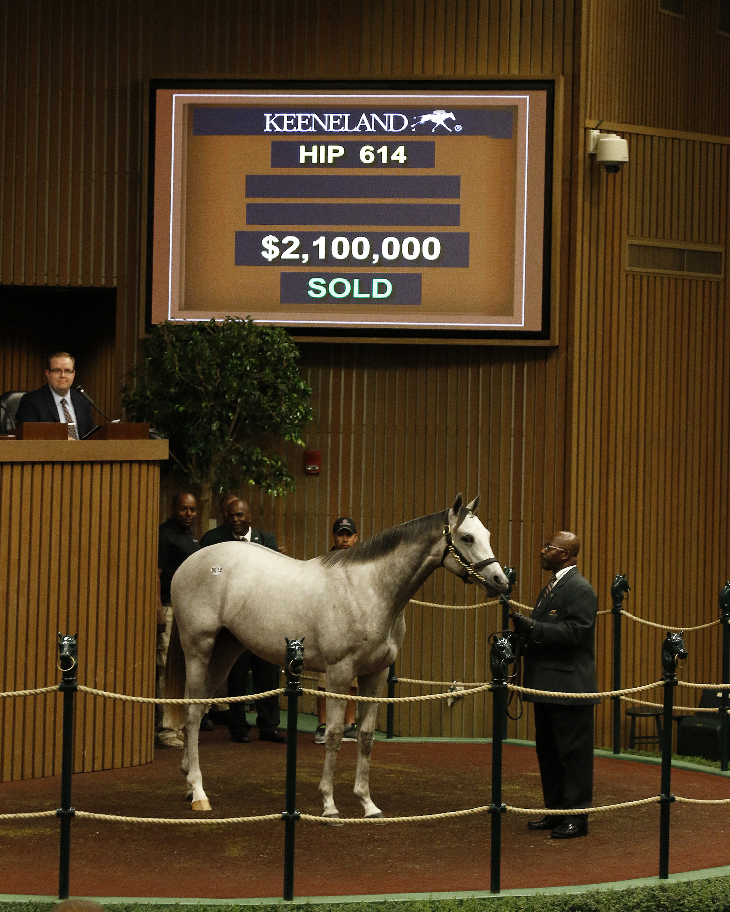 Pope buys Tapit colt for $2.1 million