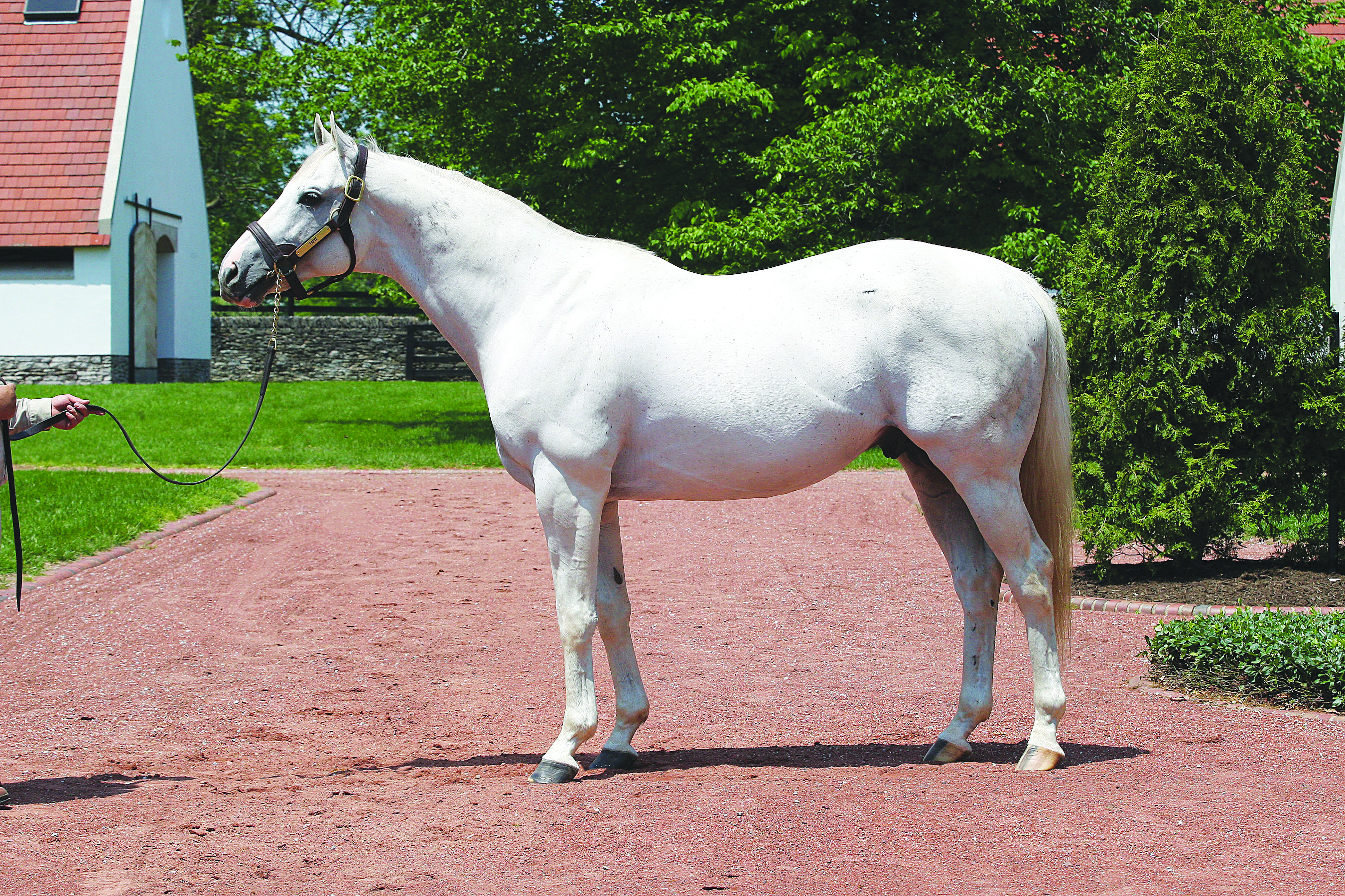 MID15Tapit