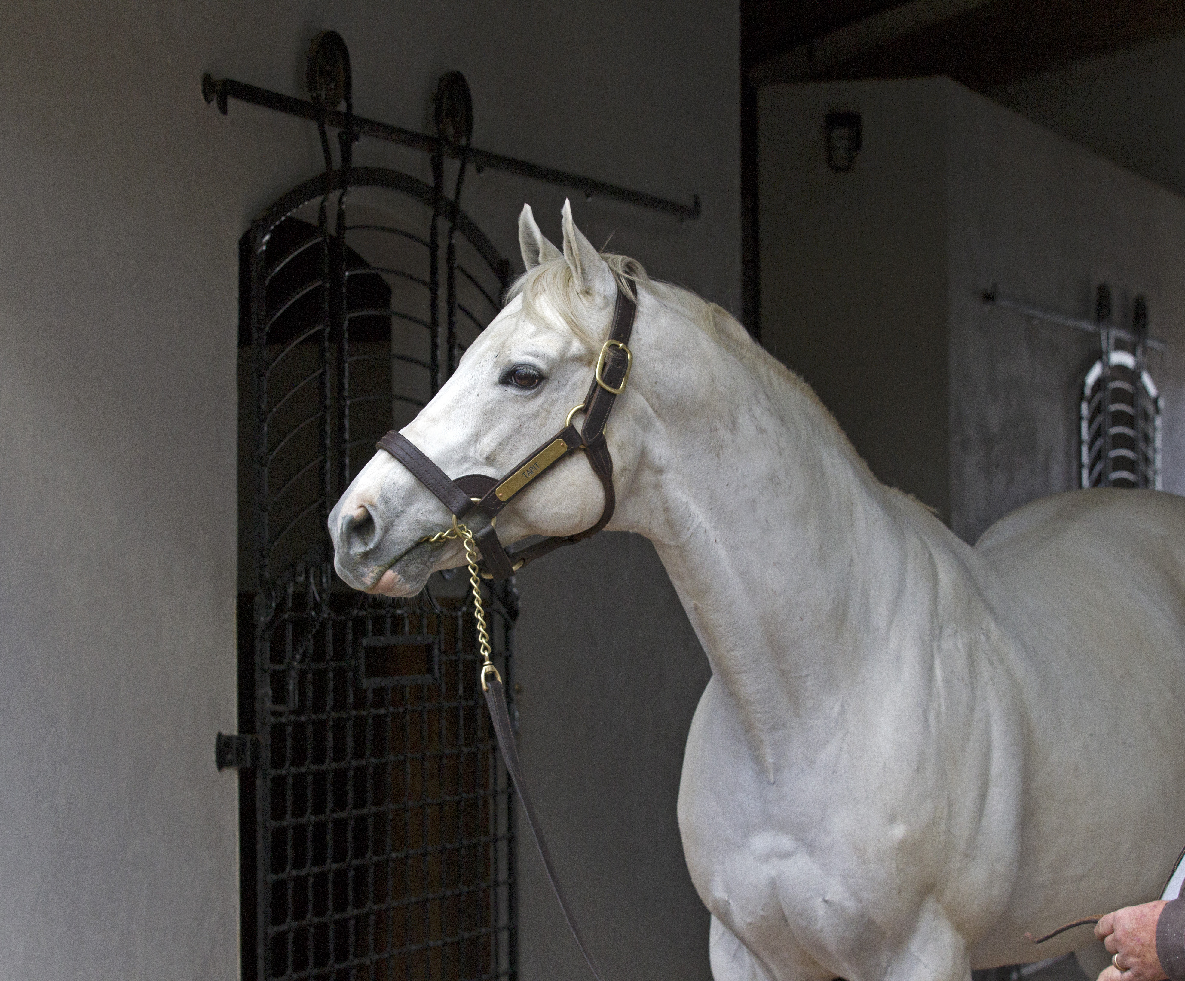 Beyer Sire Figs show Tapit remains on top