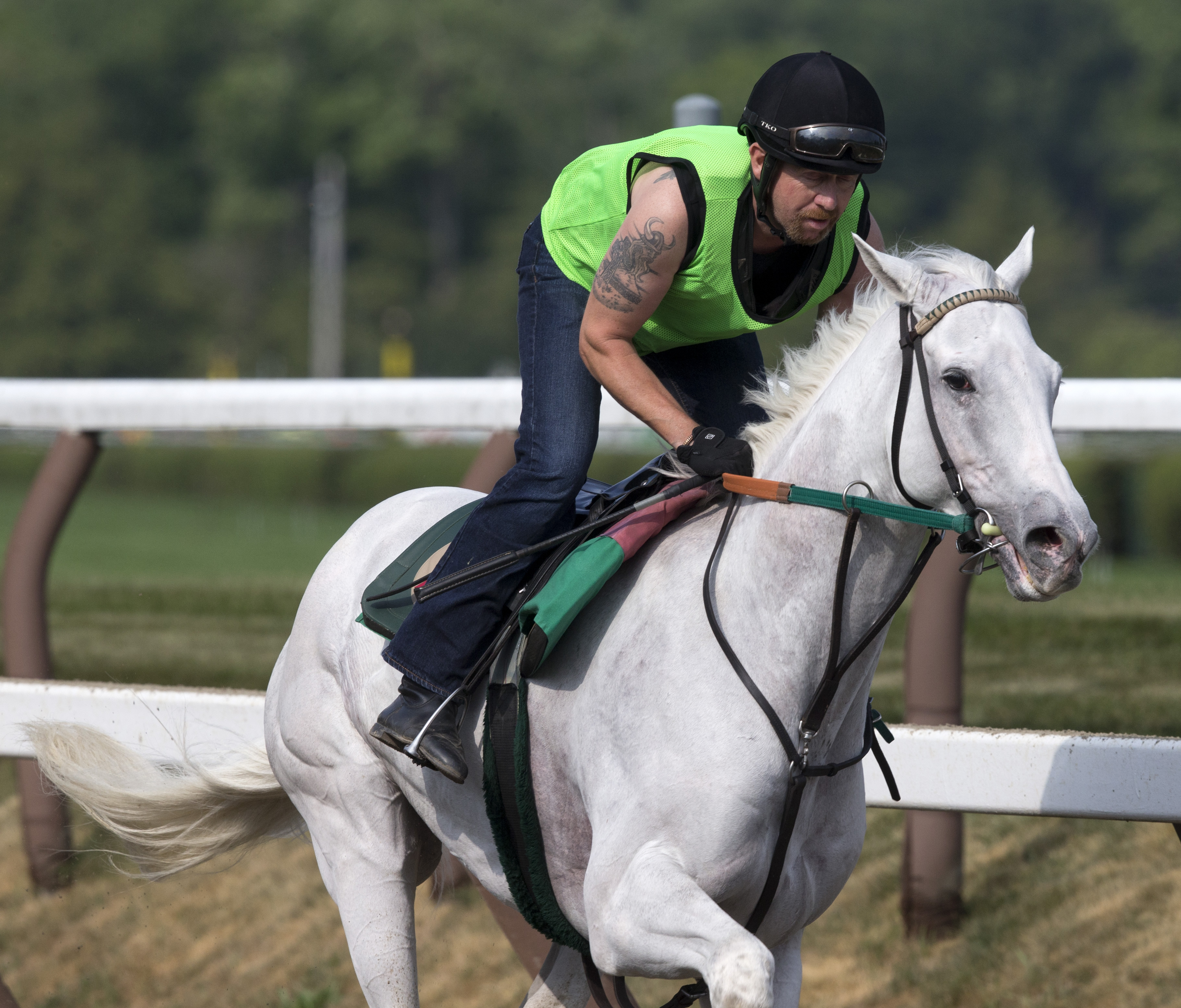 Tapitation trains at Saratoga on July 29