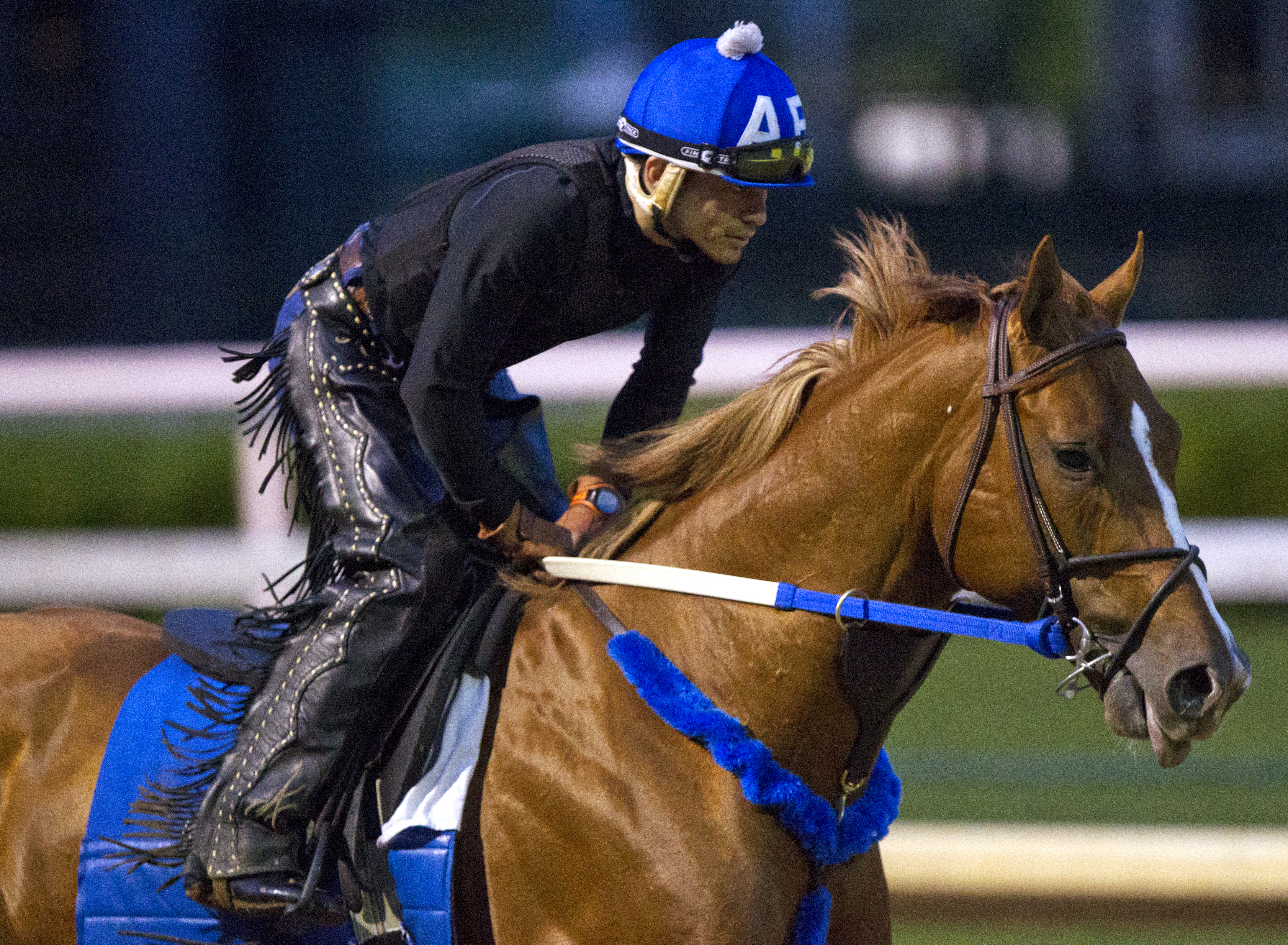 Tapiture trains at Churchill on April 20