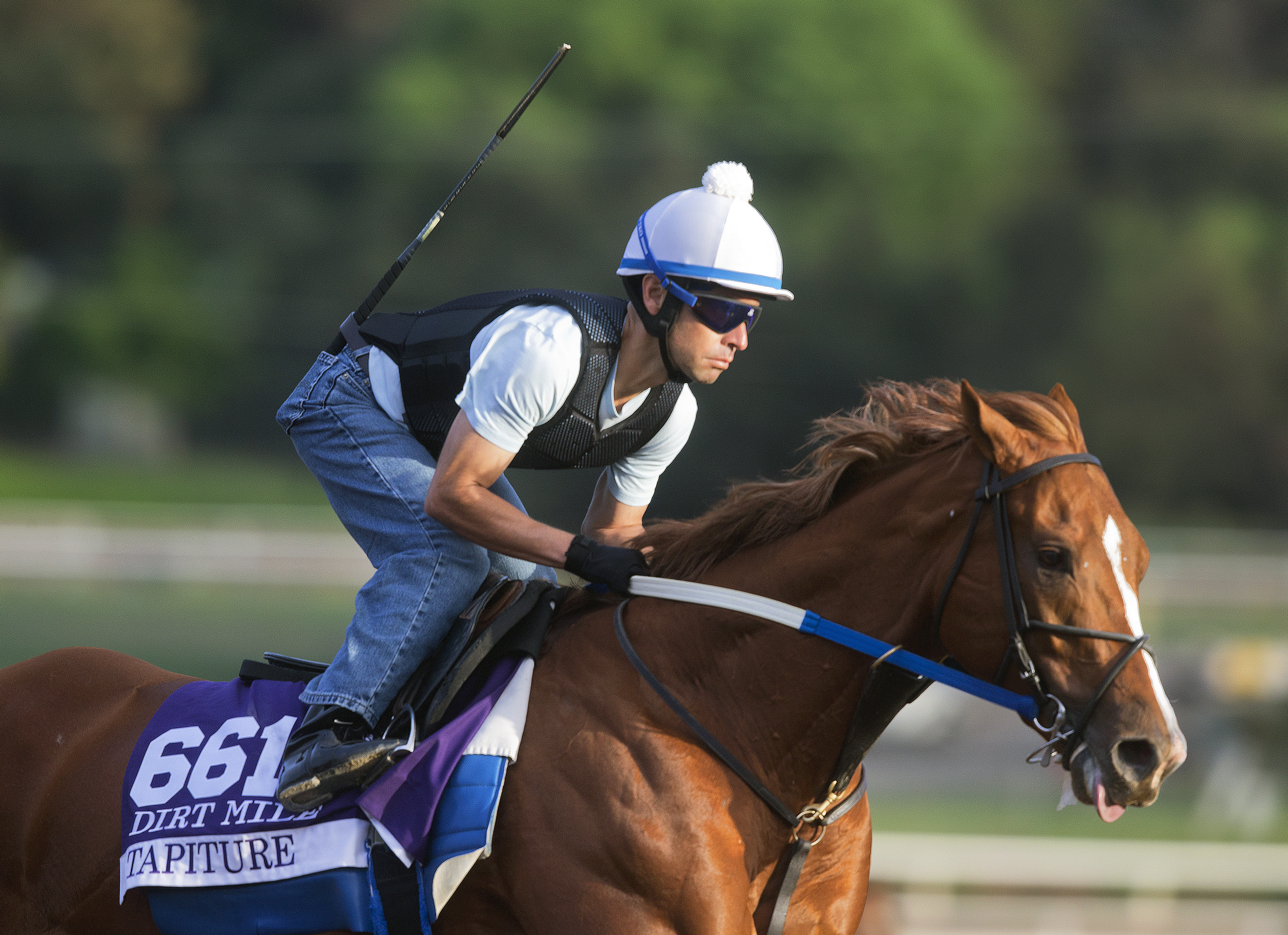 Tapiture trains for the Breeders' Cup