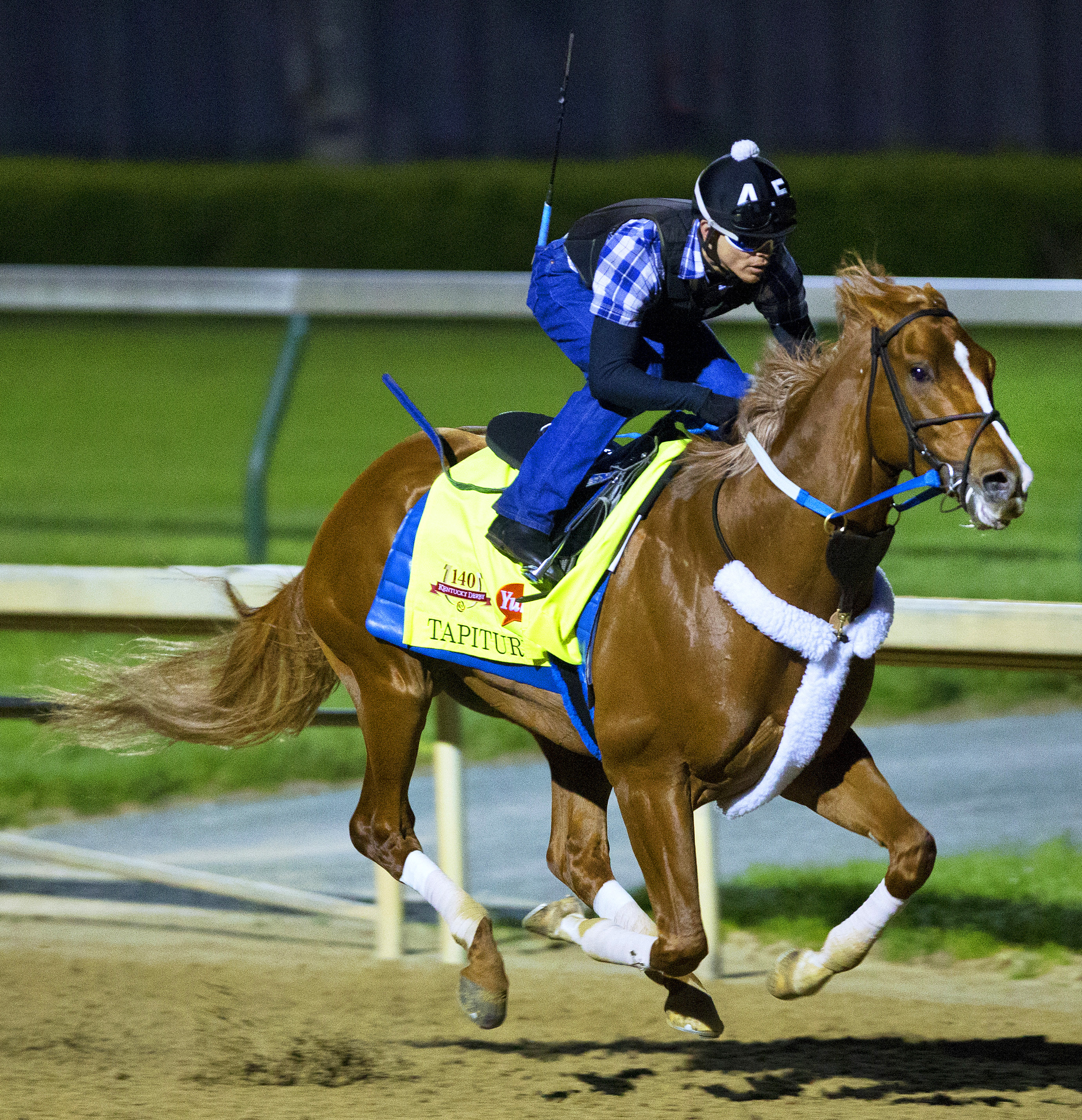 Tapiture trains at Churchill April 21