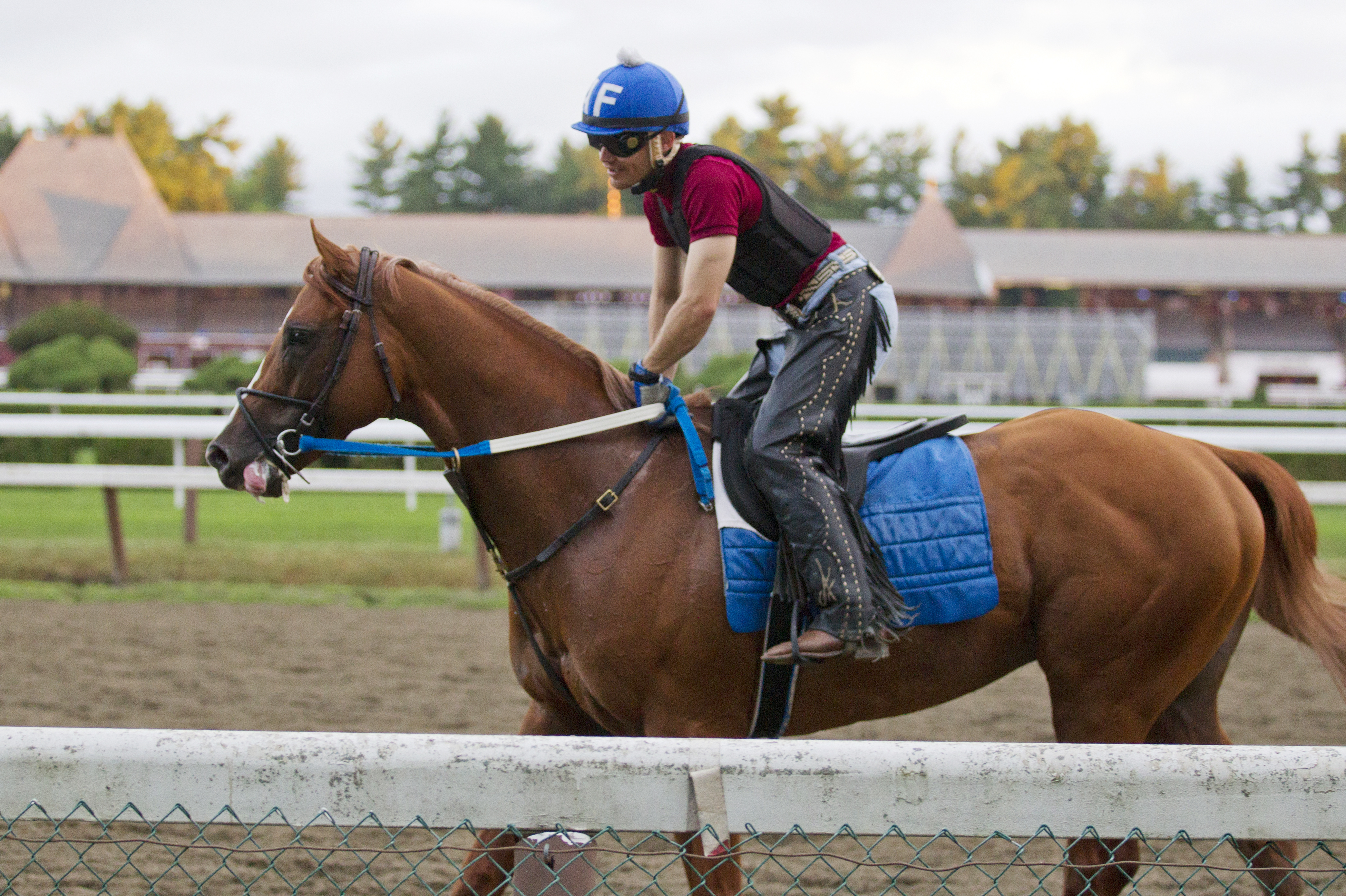 Tapiture trains at Saratoga on Aug. 20