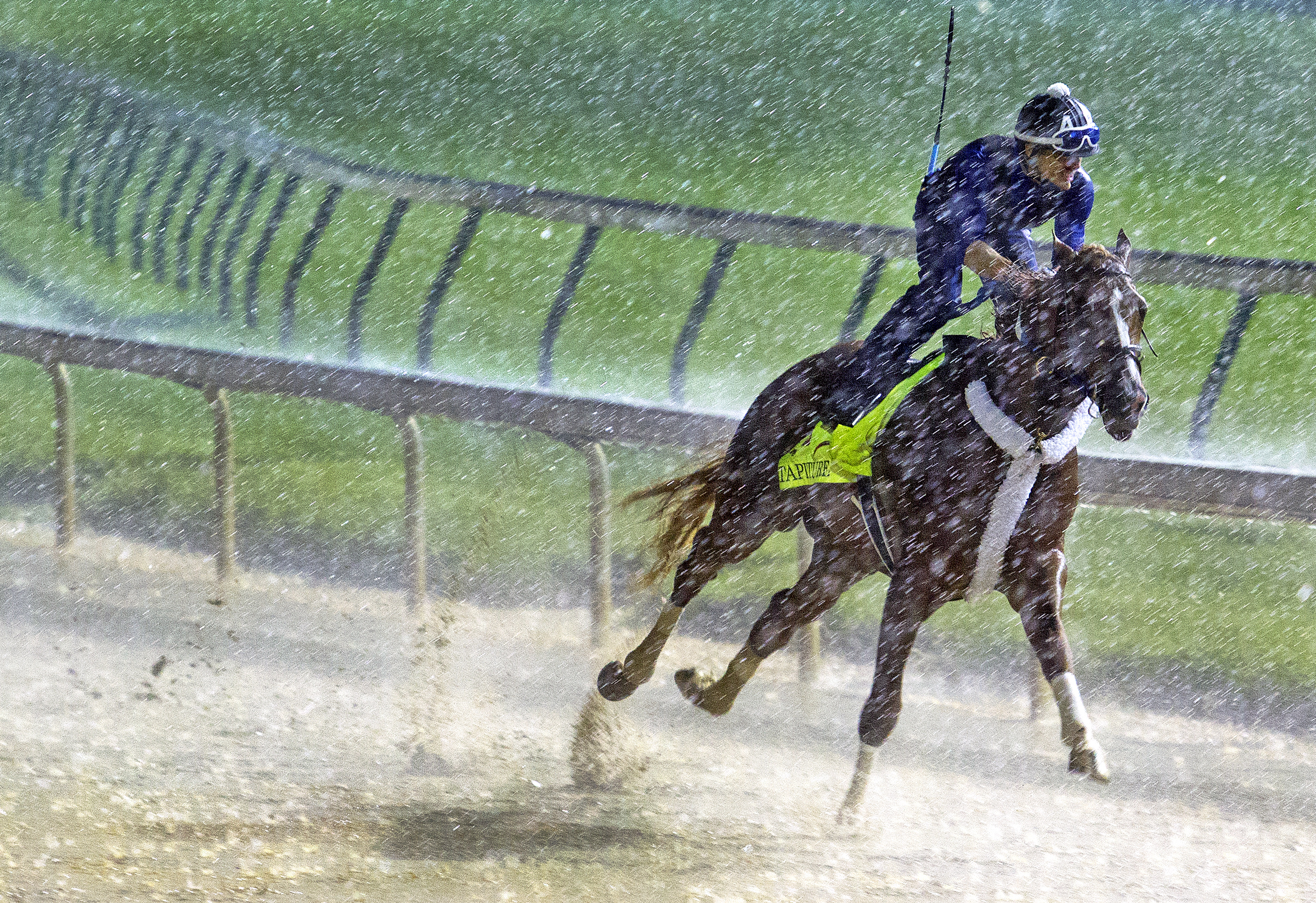 Tapiture trains in a downpour April 28