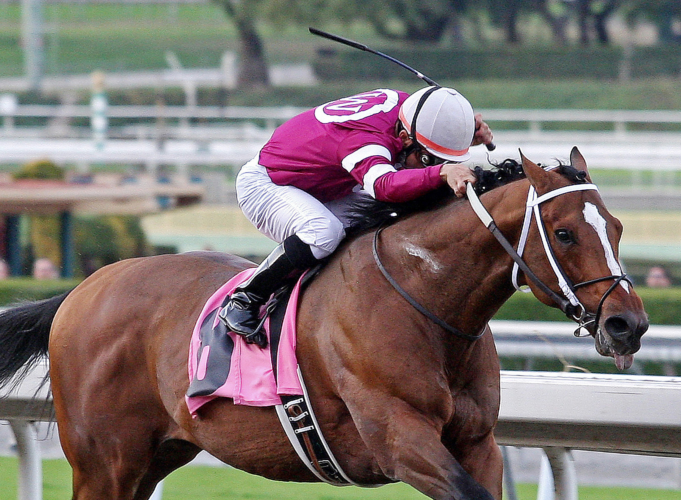 Tapizar