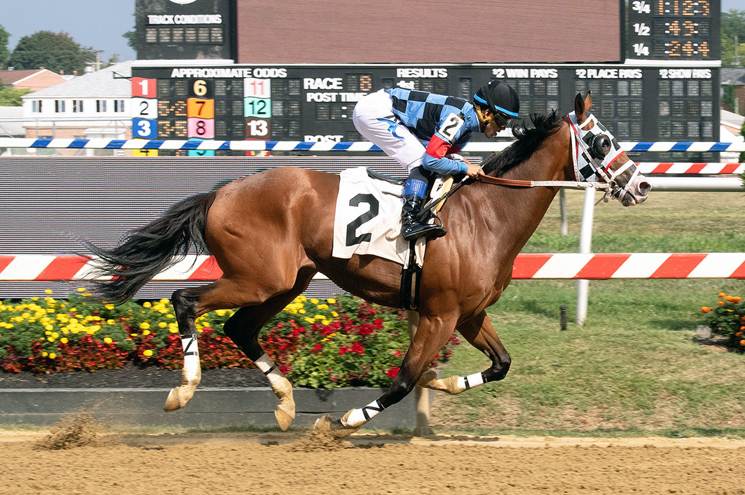 Tappin Cat wins an Aug. 13 allowance race at Pimlico Race Course