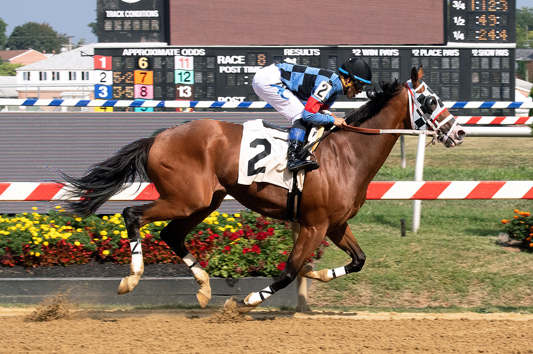 Tappin Cat wins an Aug. 13 allowance at Pimlico Race Course