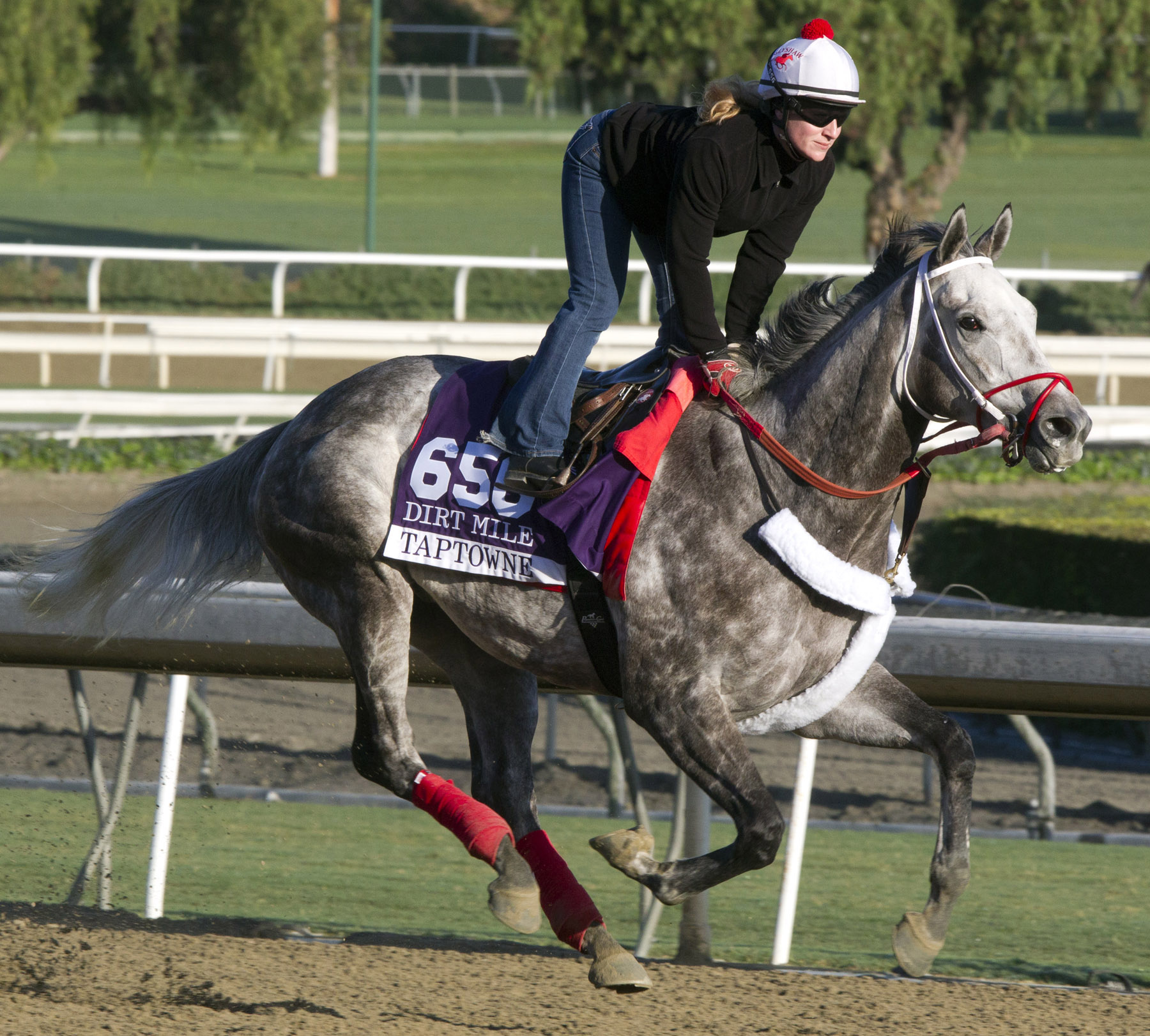 Taptowne training before Breeders' Cup