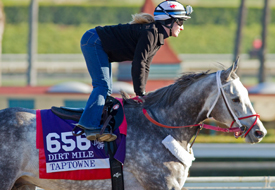 Taptowne Santa Anita 10-31-13