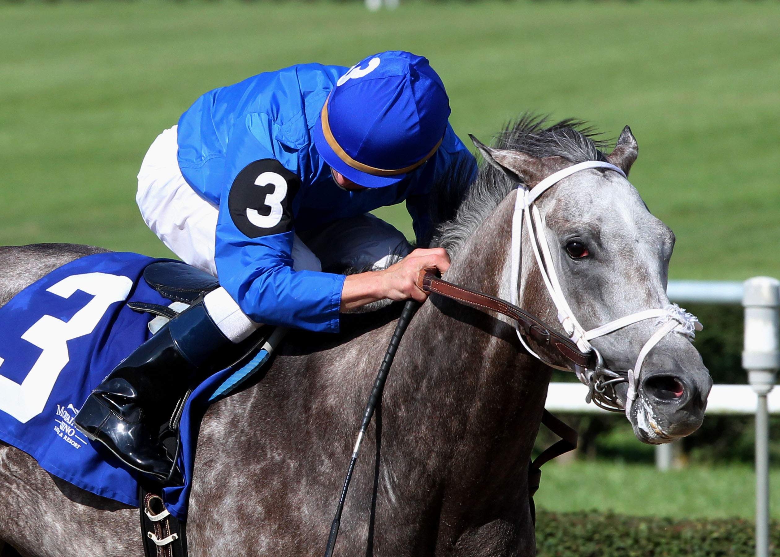 Taptowne, West Virginia Governor's Stakes